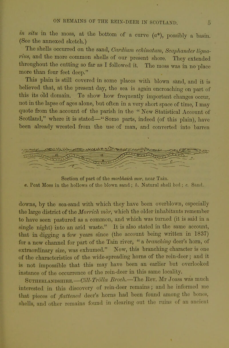 in sihi in the moss, at the hottom of a curve (a*), possibly a hasin. (See the annexed sketch.) ^ The shells occurred on the sand, Gardium ecliinatum, Scaphander ligna- rius, and the more common shells of oiir present shore. They extended throughout the cutting so far as I followed it. The moss was in no place more than four feet deep. This plain is still covered in some places with blown sand, and it is believed that, at the present day, the sea is again encroaching on part of this its old domain. To show how frequently important changes occur, not in the lapse of ages alone, but often in a very short space of time, I may quote from the account of the parish in the  New Statistical Account of Scotland, where it is stated— Some parts, indeed (of this plaia), have been already wrested from the use of man, and converted into barren Section of part of the morbhaich mm', near Tain. a. Peat Moss in the hollows of the blown sand; b. Natural shell bod ; c. Sand. downs, by the sea-sand with which they have been overblown, especially the large district of the Momcli mhr, which the older inhabitants remember to have seen pastured as a common, and which was turned (it is said in a single night) into an arid waste. It is also stated in the same account, that in digging a few years since (the account being written in 1837) for a new channel for part of the Tain river,  a hrancliing deer's horn, of extraordinary size, was exhumed. Now, this branching character is one of the characteristics of the mde-spreading horns of the rein-deer; and it is not impossible that this may have been an earlier but overlooked instance of the occurrence of the rein-deer in this same locality. SuTHERLANDsniBE.—Ci7^-r7'o7Zf{ Broch—Thc Eev. Mr Joass was much interested in this discovery of rein-deer remains; and he informed me that pieces of flattened deer's horns had been found among the bones, shells, and other remains found in clearing out the ruins ..f nn nnciont