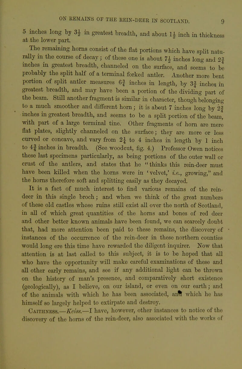 5 inclies long by 3^ in greatest breadth, and about 1| inch in thickness at the lower part. The remaining horns consist of the flat portions which have split natu- rally in the course of decay; of these one is about 7^ inches long and 2f inches in greatest breadth, channeled on the surface, and seems to be probably the spHt half of a terminal forked antler. Another more bent portion of spHt antler measures 6f inches in length, by 3| inches in greatest breadth, and may have been a portion of the dividing part of the beam. Still another fragment is similar in character, though belonging to a much smoother and different horn; it is about 7 inches long by 2| inches in greatest breadth, and seems to be a split portion of the beam, with part of a large terminal tine. Other fragments of horn are mere flat plates, slightly channeled on the surface; they are more or less curved or concave, and vary from 2| to 4 inches in length by 1 inch to 4| inches in breadth. (See woodcut, fig. 4.) Professor Owen notices these last specimens particularly, as being portions of the outer waU or crust of the antlers, and states that he thinks this rein-deer must have been killed when the horns were in 'velvet,' i.e., growing, and the horns therefore soft and splitting easily as they decayed. It is a fact of much interest to find various remains of the rein- deer in this single broch; and when we think of the great numbers of these old castles whose ruins still exist all over the north of Scotland, in all of which great quantities of the horns and bones of red deer and other better known animals have been foimd, we can scarcely doubt that, had more attention been paid to these remains, the discovery of instances of the occurrence of the rein-deer in these northern counties would long ere this time have rewarded the diligent inquirer. Now that attention is at last called to this subject, it is to be hoped that all who have the opportunity will make carefid examinations of these and all other early remains, and see if any additional light can be thrown on the history of man's presence, and comparatively short existence (geologically), as I believe, on our island, or even on our earth; and of the animals with which he has been associated, an% which he has himself so largely helped to extirpate and destroy. Caithness.—Keiss.—I have, however, other instances to notice of the discovery of the horns of the rein-deer, also associated with the works of