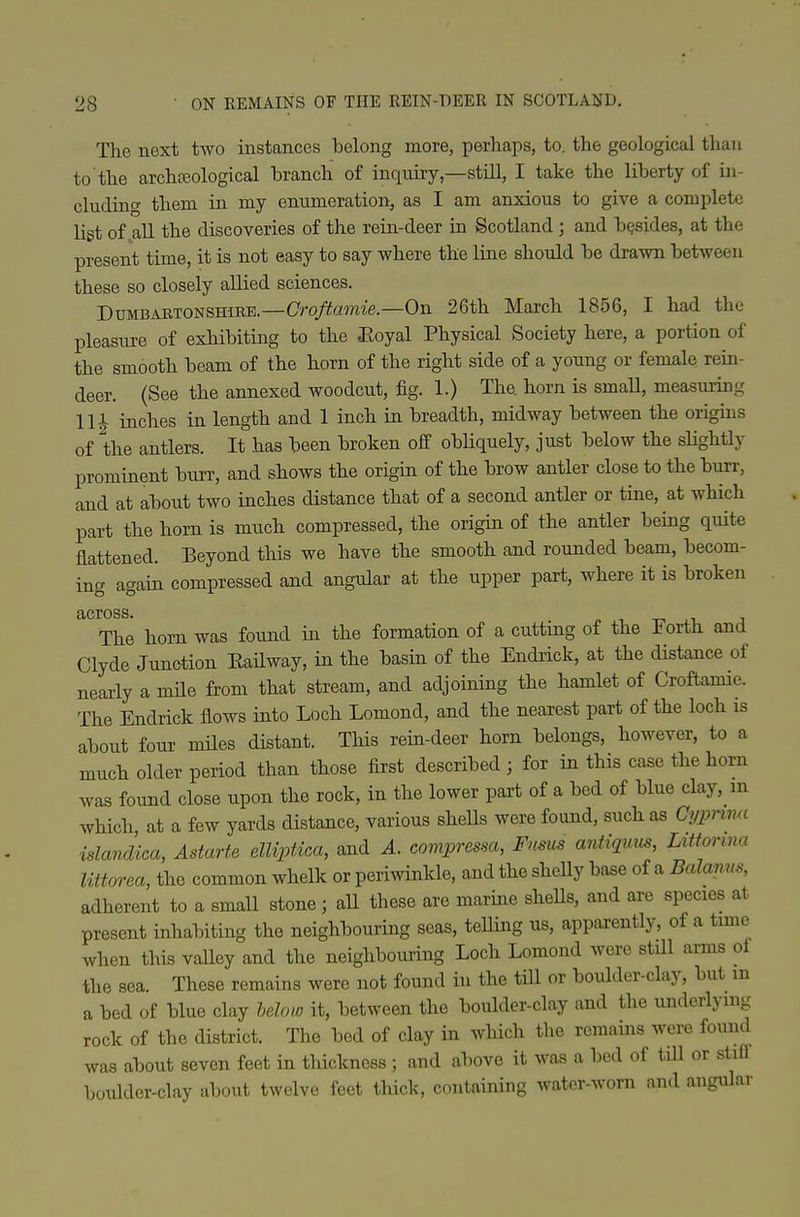 The next two instances belong more, perhaps, to. the geological than to the archteological branch of inquiry,—still, I take the liberty of iji- cluding them in my enumeration, as I am anxious to give a complete list of all the discoveries of the rein-deer in Scotland ; and besides, at the present time, it is not easy to say where the line should be drawn between these so closely allied sciences. DuMBABTONSHiRE.—(7rq/T(amie.—On 26th March 1856, I had the pleasure of exhibiting to the .Eoyal Physical Society here, a portion of the smooth beam of the horn of the right side of a young or female rein- deer. (See the annexed woodcut, fig. 1.) The horn is small, measuring 11J inches in length and 1 inch in breadth, midway between the origins of the antlers. It has been broken off obHquely, just below the slightly prominent burr, and shows the origin of the brow antler close to the burr, and at about two inches distance that of a second antler or tine, at which part the horn is much compressed, the origin of the antler being quite flattened. Beyond this we have the smooth and rounded beam, becom- ing again compressed and angular at the upper part, where it is broken across. ^ , -r- i.i i The horn was found in the formation of a cutting of the Forth and Clyde Junction Eailway, in the basin of the Endrick, at the distance of nearly a mile from that stream, and adjoining the hamlet of Croftamie. The Endrick flows into Loch Lomond, and the nearest part of the loch is about four miles distant. This rein-deer horn belongs, however, to a much older period than those first described ; for in this case the horn was found close upon the rock, in the lower part of a bed of blue clay, m which at a few yards distance, various sheUs were found, such as Cyprina islandica, Astarte elliptica, and A. compressa, Fiims antiques, Ltttorma Uttorea, the common whelk or periwinkle, and the sheUy ba^e of a Balanus, adherent to a small stone; aU these are marme sheUs, and are species at present inhabiting the neighbouring seas, teUing us, apparently, of a tmie when this vaUey and the neighbouring Loch Lomond were still arms ol the sea. These remains were not found hi the till or boulder-clay, but m a bed of blue clay below it, between the boulder-clay and the underlynig rock of the district. The bed of clay in which the remains were found was about seven feet in tliickncss ; and above it was a bed of till or stiff boulder-clay about twelve feet thick, containing water-worn and angular