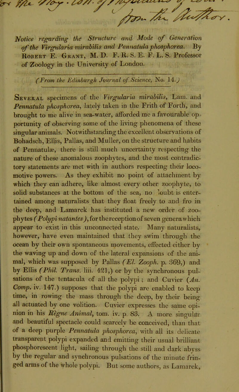 Notice regarding the Structure and Mode of Generation of the Virgidaria mirabilis and Pennatula phosphcrrea. By Robert E. Grant, M. D. F. R. S. E. F. L. S. Professor of Zoology in the University of London. (From the Edinburgh Jouimal. of Science, No. 14. J Several specimens of the Virgularia mirabilis, Lam. and Pennatula phosphorea, lately taken in the Frith of Forth, and brought to me alive in sea-water, afforded me a favourable op- portunity of observing some of the living phenomena of these sinffular animals. Notwithstanding the excellent observations of O O Bohadsch, Ellis, Pallas, and Muller, on the structure and habits of Pennatulae, there is still much uncertainty respecting the nature of these anomalous zoophytes, and the most contradic- tory statements are met with in authors respecting their loco- motive powers. As they exhibit no point of attachment by which they can adhere, like almost every other zoophyte, to solid substances at the bottom of the sea, no loubt is enter- tained among naturalists that they float freely to and fro in the deep, and Lamarck has instituted a new order of zoo- phytes (Polypi natantes ^,for the reception of seven generawhich appear to exist in this unconnected state. Many naturalists, however, have even maintained that they swim through the ocean by their own spontaneous movements, efiected either by the waving up and down of the lateral expansions of the ani- mal, which was supposed by Pallas (El. Zooph. p. 369,) and by Ellis (Phil. Trans, liii. 421,) or by the synchronous pul- sations of the tentacula of all the polypi; and Cuvier (^An. Comp. iv. 147.) supposes that the polypi are enabled to keep time, in rowing the mass through the deep, by their being all actuated by one volition. Cuvier expresses the same opi- nion in his Regne Animal, tom. iv. p, 83. A more singular and beautiful spectacle could scarcely be conceived, than that of a deep purple Pennatula phosphorea, with all its delicate transparent polypi expanded and emitting their usual brilliant phosphorescent light, sailing through the still and dark abyss by the regular and synchi’onous pulsations of the minute frin- ged arras of the whole polypi. But some authors, as Lamarck,