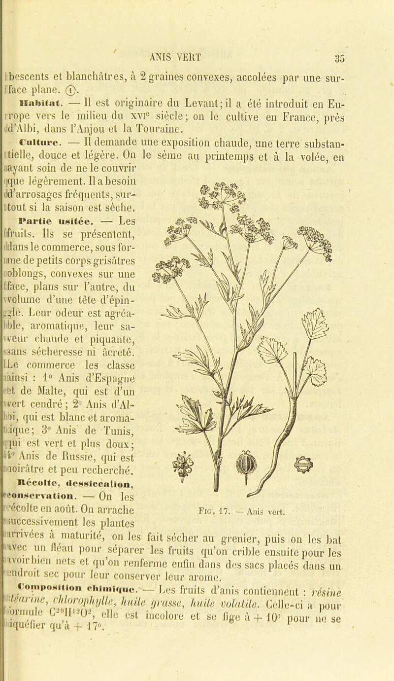 bescents el blanchâtres, à 2 graines convexes, accolées par une sur- fface plane. ®. Habitat. — 11 est originaire du Levant; il a été introduit en Eu- iropc vers le milieu du xvi° siècle; on le cultive en France, près ■id’Alhi, dans l’Anjou et la Touraine. Culture. — Il demande une exposition chaude, une terre substan- tielle, douce et légère. On le sème au printemps et à la volée, en aavânt soin de ne le couvrir que légèrement. 11 a besoin ■ d'arrosages fréquents, sur- ttout si la saison est sèche. ooblongs, convexes sur une [face, plans sur l’autre, du vvolume d’une tète d’épin- gle. Leur odeur est agréa- I ble, aromatique, leur sa- uveur chaude el piquante, ■sans sécheresse ni âcreté. I.Le commerce les classe ainsi : 1° Anis d’Espagne cet de Malte, qui est d’un 'vert cendré ; 2° Anis d’Al- lOi, qui est blanc et aroma- 1 -ique ; 3° Anis de Tunis, jui est vert et plus doux; ' successivement les plantes 'arrivées a maturité, on les fait sécher au grenier, puis on les bat ivec un fléau pour séparer les fruits qu’on crible ensuite pour les iv ou bien nets et qu’on renferme enfin dans des sacs placés dans un mdroit sec pour leur conserver leur arôme. Partie usitée. — Les i fruits. Ils se présentent, idans le commerce, sous for- me de petits corps grisâtres ii° Anis de Russie, qui est : aoirâtre et peu recherché. Récolte, dessiccation, (conservation. — On les 1 ’écolte en août. On arrache Fig, 17. — Anis vert. '■w voiuiüo. Leiie-ci a pour se lige à + i0° pour ne se