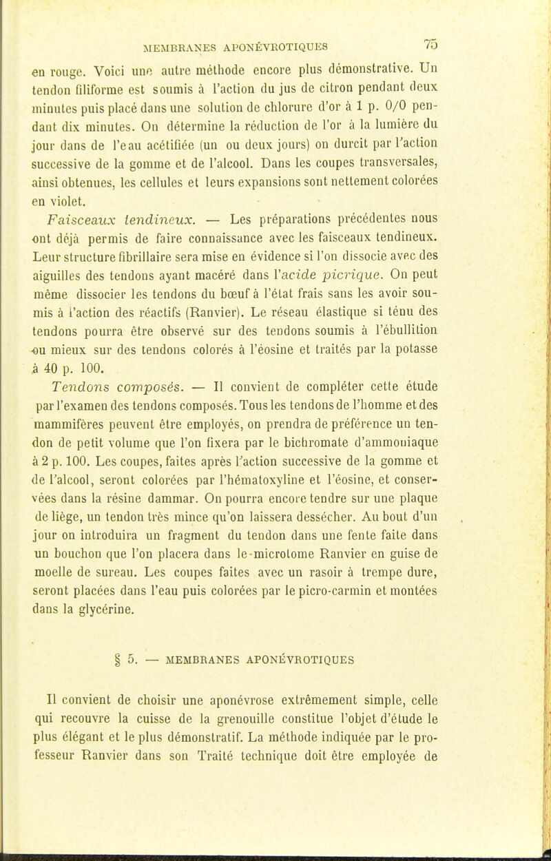 en rouge. Voici une autre méthode encore plus démonstrative. Un tendon filiforme est soumis à l'action du jus de citron pendant deux minutes puis placé dans une solution de chlorure d'or à 1 p. 0/0 pen- dant dix minutes. On détermine la réduction de l'or à la lumière du jour dans de l'eau acétiiiée (un ou deux jours) on durcit par l'action successive de la gomme et de l'alcool. Dans les coupes transversales, ainsi obtenues, les cellules et leurs expansions sont nettement colorées en violet. Faisceaux tendineux. — Les préparations précédentes nous ont déjà permis de faire connaissance avec les faisceaux tendineux. Leur structure fibrillaire sera mise en évidence si l'on dissocie avec des aiguilles des tendons ayant macéré dans l'acide picrique. On peut même dissocier les tendons du bœuf à l'état frais sans les avoir sou- mis à l'action des réactifs (Ranvier). Le réseau élastique si ténu des tendons pourra être observé sur des tendons soumis à l'ébullition ou mieux sur des tendons colorés à l'éosine et traités par la potasse à 40 p. 100. Tendons composés. — Il convient de compléter cette étude par l'examen des tendons composés. Tous les tendons de l'homme et des mammifères peuvent être employés, on prendra de préférence un ten- don de petit volume que l'on fixera par le bichromate d'ammoniaque à 2 p. 100. Les coupes, faites après l'action successive de la gomme et de l'alcool, seront colorées par l'hématoxyline et l'éosine, et conser- vées dans la résine dammar. On pourra encore tendre sur une plaque de liège, un tendon très mince qu'on laissera dessécher. Au bout d'un jour on introduira un fragment du tendon dans une fente faite dans un bouchon que l'on placera dans le-microtome Ranvier en guise de moelle de sureau. Les coupes faites avec un rasoir à trempe dure, seront placées dans l'eau puis colorées par le picro-carmin et montées dans la glycérine. § 5. — MEMBRANES APONÉVROTIQUES 11 convient de choisir une aponévrose extrêmement simple, celle qui recouvre la cuisse de la grenouille constitue l'objet d'étude le plus élégant et le plus démonstratif. La méthode indiquée par le pro- fesseur Ranvier dans son Traité technique doit être employée de