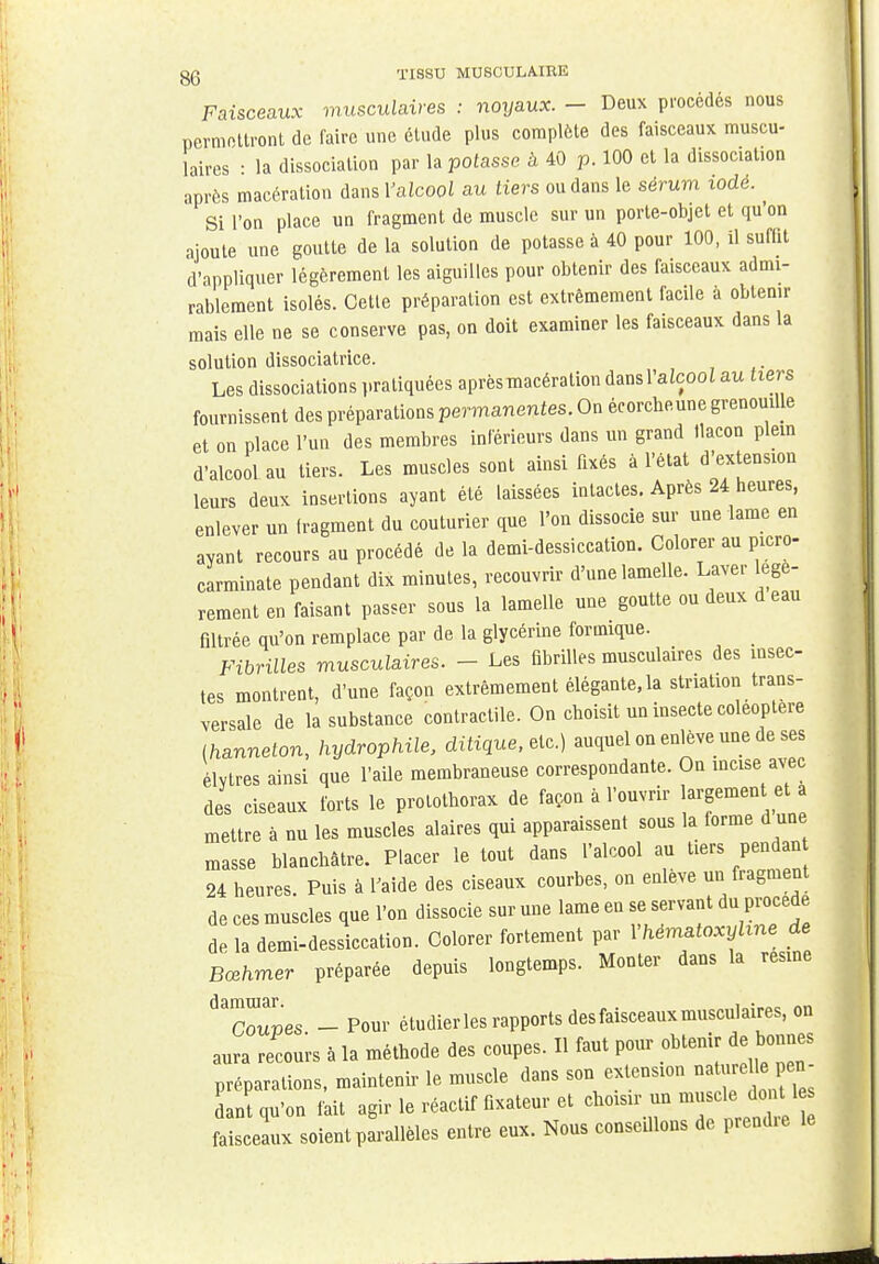 Faisceaux musculaires : noyaux. - Deux procédés nous permettront de faire une étude plus complète des faisceaux muscu- laires : la dissociation par la potasse à 40 p. 100 et la dissociation après macération dans l'alcool au tiers ou dans le sérum iodé. Si l'on place un fragment de muscle sur un porte-objet et qu'on ajoute une goutte de la solution de potasse à 40 pour 100, il suffit d'appliquer légèrement les aiguilles pour obtenir des faisceaux admi- rablement isolés. Cette préparation est extrêmement facile à obtenu- mais elle ne se conserve pas, on doit examiner les faisceaux dans la solution dissociatrice. Les dissociations pratiquées après macération dans l'alcool au tiers fournissent des préparations permanentes. On écorcheune grenouille et on place l'un des membres inférieurs dans un grand llacon plein d'alcool au tiers. Les muscles sont ainsi fixés à l'état d'extension leurs deux insertions ayant été laissées intactes. Après 24 heures, enlever un fragment du couturier que l'on dissocie sur une lame en avant recours au procédé de la demi-dessiccation. Colorer au picro- carminate pendant dix minutes, recouvrir d'une lamelle. Laver légè- rement en faisant passer sous la lamelle une goutte ou deux d eau filtrée qu'on remplace par de la glycérine fornique. Fibrilles musculaires. - Les fibrilles musculaires des insec- tes montrent, d'une façon extrêmement élégante, la stnation trans- versale de la substance contractile. On eboisit un insecte coleoptere (hanneton, hydrophile, ditique, etc.) auquel on enlève une de ses élvtres ainsi que l'aile membraneuse correspondante. On incise avec des ciseaux forts le protothorax de façon à l'ouvrir largement et a mettre à nu les muscles alaires qui apparaissent sous la forme d une masse blancbâtre. Placer le tout dans l'alcool au tiers pendan 24 heures. Puis à l'aide des ciseaux courbes, on enlève un fragment de ces muscles que l'on dissocie sur une lame en se servant du procède de la demi-dessiccation. Colorer fortement par l'Mmataxyline de Bœhmer préparée depuis longtemps. Monter dans la résine cl 3 m tu 3.r Coupes - Pour étudier les rapports des faisceaux musculaires, on aura recours à la méthode des coupes. Il faut pour obtenir de bonnes préparations, maintenir le muscle dans son extension nature le pen- dant qu'on fait agir le réactif fixateur et choisir un muscle dont 1 faisceaux soient parallèles entre eux. Nous conseillons de prendre le