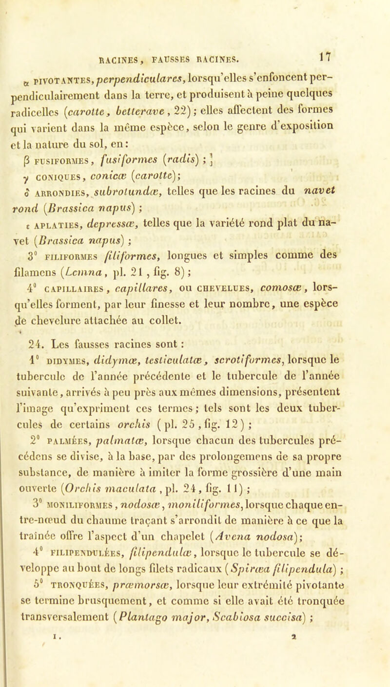 HACINES, FAUSSES RACINES, tt vn'OTKîiTV.s,perpendiculares, lorsqu’elles s’enfoncent per- pendiculairement dans la terre, et produisent à peine quelques radicelles {carotte, betterave, 22); elles affectent des formes qui varient dans la même espèce, selon le genre d’exposition et la nature du sol, en : P FUSIFORMES, fuslfomies {radis) ; ] y CONIQUES, coTiicce {carotte)', 0 ARRONDIES,.sutrolunt/fu, telles que les racines du navet rond {Brassica napus) ; t APLATIES, depressœ, telles que la variété rond plat du na- vet {Brassica napus) ; 3“ FILIFORMES ftUformes, longues et simples comme des fdamens {Lcmna, pl. 21 , fig. 8) ; 4“ CAPILLAIRES, capillares, ou chevelues, comosœ , lors- qu’elles forment, par leur finesse et leur nombre, une espèce de chevelure attachée au collet. ♦ 24. Les fausses racines sont : 1“ DIDYMES, didymæ, tcsticulatæ, scrotiforjnes,\orsc[uc le tubercule de l’année précédente et le tubercule de l’année suivante, arrivés à peu près aux mêmes dimensions, présentent l’image qu’expriment ces termes; tels sont les deux tuber- cules de certains orckis (pl. 25,lîg. 12); 2“ PALMÉES, palmatæ, lorsque chacun des tubercules pré- cédons se divise, à la base, par des prolongemens de sa propre substance, de manière à imiter la forme grossière d’une main ouverte {Orchis maculata , pl. 24 , fig. 11) ; 3“ MONiLiFORMES, nodoscB, moniliformes, lorsque chaque en- tre-noeud du chaume traçant s’arrondit de manière à ce que la traînée offre l’aspect d’un chapelet {Avc7ia nodosa); 4° FiLiPENDULÈES, /i/t/jendft/oe, lorsquc Ic tuborcule se dé- veloppe au bout de longs filets radicaux {Spiræa (iUpcndula) ; ô® TRONQUÉES, prœmorsœ, lorsque leur extrémité pivotante se termine brusquement, et comme si elle avait été tronquée transversalement {Plantago major, Scabiosa succisa) ;