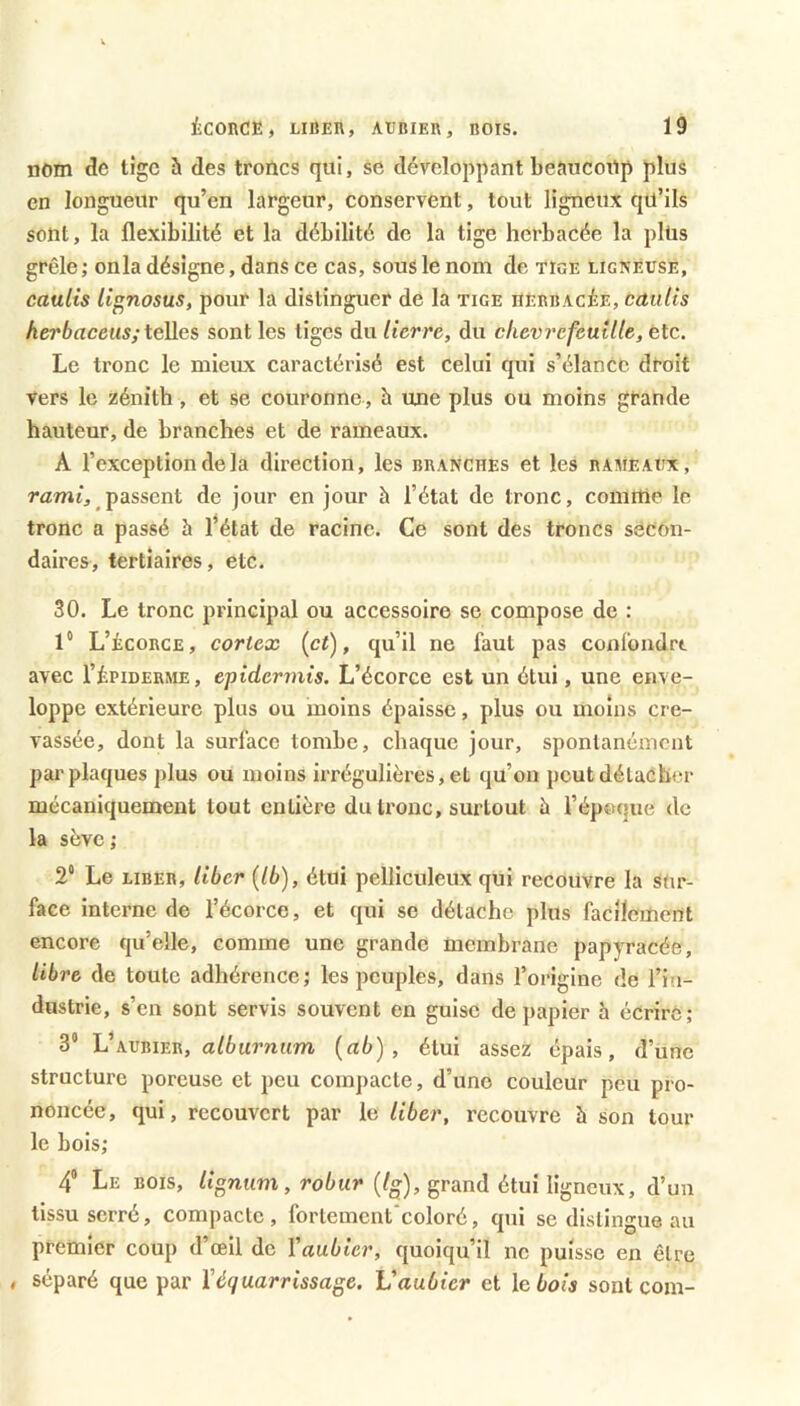 nom de lige à des troncs qui, se développant beaucoup plus en longueur qu’en largeur, conservent, tout ligneux qü’ils sont, la flexibilité et la débilité de la tige herbacée la plus grêle ; onia désigne, dans ce cas, sous le nom de tige ligneuse, caults li^nosus, pour la distinguer de la tige nERBACÈE, caidis herbaceiis; telles sont les tiges du lierre, du chèvrefeuille, etc. Le tronc le mieux caractérisé est celui qui s’élance droit Vers le zénith, et se couronne , à une plus ou moins grande hauteur, de branches et de rameaux. A l’exception de la direction, les branches et les rameaux, ramt, passent de jour en jour h l’état de tronc, comitte le tronc a passé à l’état de racine. Ce sont des troncs secon- daires, tertiaires, etc. 30. Le tronc principal ou accessoire se compose de : 1“ L’écorce, cortex {et), qu’il ne faut pas confondre avec l’ÉPiDERME, epidermts. L’écorce est un étui, une enve- loppe extérieure plus ou moins épaisse, plus ou moins cre- vassée, dont la surface tombe, chaque jour, spontanément par plaques plus ou moins irrégulières, et qu’on peut délaCbcr mécaniquement tout entière du tronc, surtout è l’époque de la sève ; 2“ Le LIBER, liber {Ib), étui pelliculeux qui recouvre la sur- face interne de l’écorce, et qui se détache plus facilement encore qu’elle, comme une grande membrane papyracée, libre de toute adhérence; les peuples, dans l’origine de l’in- dustrie, s’en sont servis souvent en guise de papier h écrire; 3“ L’aubier, aléurnttm (ab) , étui assez épais, d’une structure poreuse et peu compacte, d’uno couleur peu pro- noncée, qui, recouvert par le liber, recouvre h son tour le bois; 4“ Le bois, /tgmmi, ro6wt* (/g), grand étui ligneux, d’un tissu serré, compacte, fortemcnt'coloré, qui se distingue au premier coup d’œil de Yaubier, quoiqu’il ne puisse en être , séparé que par Véquarrissage. Vaubier et le bots sont com-