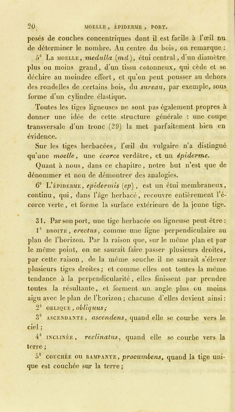 posés de couches concentriques dont il est facile h l’œil nu de déterminer le nombre. Au centre du bois, on remarque : 5“ La MOELLE, medulla (md), étui central, d’un diamètre plus ou moins grand, d’un tissu cotonneux, qui cède et se déchire au moindre effort, et qu’on peut pousser au dehors des rondelles de .certains bois, du sureau, par exemple, sous forme d’un cylindre élastique. Toutes les tiges ligneuses ne sont pas également propres à donner une idée de cette structure générale : une coupe transversale d’un tronc (29) la met parfaitement bien en évidence. Sur les tiges herbacées, l’œil du vulgaire n’a distingué qu’une moelle, une écorce verdâtre, et un épiderme. Quant h nous, dans ce chapitre, notre but n’est que de dénommer et non de démontrer des analogies. 6“ L’épiderme, epidermis [ep), est un étui membraneux, continu, qui, dans l’âge herbacé, recouvre entièrement l’é- corce verte, et forme la surface extérieure de la jeune tige. 31. Par son port, une tige herbacée ou ligneuse peut être; 1° DROITE, erectus, comme une ligne perpendiculaire au plan de l’horizon. Par la raison que, sur le même plan et par le même point, on ne saurait faire passer plusieurs droites, par cette raison, de la même souche il ne saurait s’élever plusieurs tiges droites ; et comme elles ont toutes la même tendance à la perpendicularité, elles finissent par prendre toutes la résultante, et forment un angle plus ou moins aigu avec le plan de l’horizon; chacune d’elles devient ainsi: 2“ OBLIQUE, obliquas; 3“ ASCENDANTE, asccndens, quand elle se courbe vers le ciel ; 4“ INCLINÉE, recUnatus, quand elle se courbe vers la terre ; 5® COUCHÉE ou RAMPANTE, procumbens, quand la tige uni- que est couchée sur la terre ;