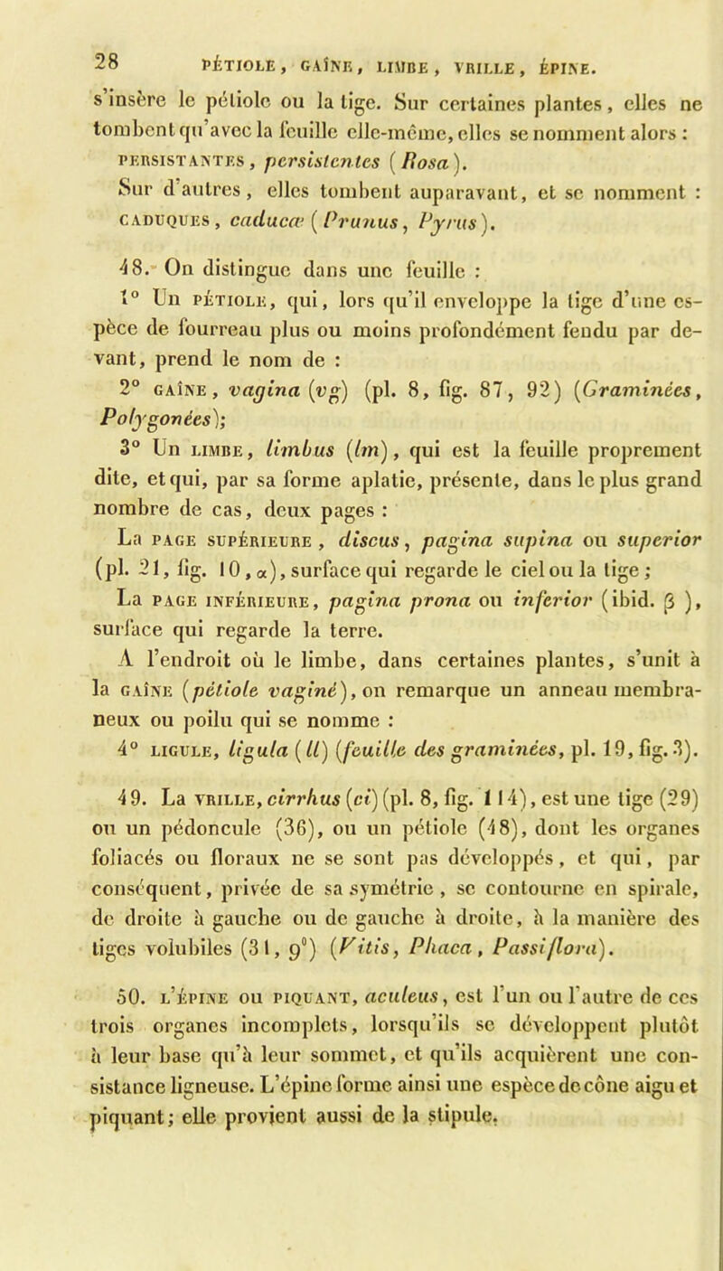 PÉTIOLE , GAÎNE , LUlnE , VEILLE , ÉPINE. S insère le péliolc ou la lige. Sur certaines plantes, elles ne tombent qu’avec la feuille clle-incine, elles se nomment alors : PERSISTANTES, pcrsUtcntcs [Uosa). Sur d autres, elles tombent auparavant, et se nomment : CADUQUES, caclucæ ( Pru?ius, Pjriis). 48. On distingue dans une feuille ; Un PÉTIOLE, qui, lors qu’il enveloppe la lige d’une es- pèce de fourreau plus ou moins profondément fendu par de- vant, prend le nom de : 2° GAÎNE, vagina (vg) (pl. 8, fig. 87, 92) [Graminées, Pofjgonées); 3 Un LIMBE, ilmbus [lin), qui est la feuille proprement dite, et qui, par sa forme aplatie, présente, dans le plus grand nombre de cas, deux pages : La PAGE SUPÉRIEURE, cliscus, pagina siipina ou superior (pl. 21, lig. 10, a ), surface qui regarde le ciel ou la lige ; La PAGE INFÉRIEURE, pagina prona ou inferior (ibid. [3 ), surface qui regarde la terre. A l’endroit où le limbe, dans certaines plantes, s’unit à la GAÎNE [pétiole vaginé),o\\ remarque un anneau membra- neux ou poilu qui se nomme : 4° LIGULE, Ligula [II) [feuille des graminées, pl. 19, fig.3). 4 9. La VRILLE, cirrhus [ci) (pl. 8, fig. 114), est une lige (29) on un pédoncule (36), ou un pétiole (48), dont les organes foliacés ou floraux ne se sont pas développés, et qui, par conséquent, privée de sa symétrie, sc contourne en spirale, de droite h gauche ou de gauche à droite, h la manière des liges voiubiles (31, 9“) [Vitis, Phaca, Passiflora). 50. l’épine ou PIQUANT, aciileus, est l’un ou l’autre de ces trois organes incomplets, lorsqu’ils se développent plutôt ù leur base qu’à leur sommet, et qu’ils acquièrent une con- sistance ligneuse. L’épine forme ainsi une espèce docône aigu et piquant ; elle provient aussi de la stipule,