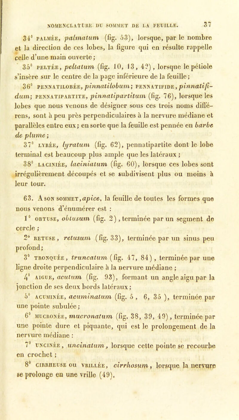 34“ PALMÉE, palmatum (fig. 53), lorsque, par le nombre et la direction de ces lobes, la figure qui en résulte rappelle celle d’une main ouverte ; 35“ PELTÉE, peUatum (fig. 10, (3, 4?), lorsque le pétiole s’insère sur le centre de la page inférieure de la feuille; 36“ PENNATiLOBÉE, ptnnalilobum; pennatifide, pinnafi/t- dum; PENNATiPARTiTE, pinnatiparlitum (fig. 76), lorsque les lobes que nous venons de désigner sous ces trois noms dilfé- rens, sont h peu près perpendiculaires à la nervure médiane et parallèles entre eux; en sorte que la feuille est pennée en barbe de plume ; 37“ LYRÉE, lyratum (fig. 62), pennatipartite dont le lobe terminal est beaucoup plus ample que les latéraux ; 38“ LACiMÉE, laciniatum (fig. 60), lorsque ces lobes sont irrégulièrement découpés et se subdivisent plus ou moins à leur tour. 63. Ason sommet,a/n'c6, la feuille de toutes les formes que nous venons d’énumérer est : 1“ OBTUSE, obiusum (fig. 2), terminée par un segment de cercle ; 2“ EETUSE, retusum (fig. 33), terminée par un sinus peu profond; 3“ TRONQUÉE, truncatum 47, 84), terminée par une ligne droite perpendiculaire h la nervure médiane ; 4“ AIGUE, acuium (fig. 93), formant un angle aigu par la jonction de ses deux bords latéraux; 5 AcuMiNÉE, acmninalmn (fig. 5, 6, 35 ), terminée par une pointe subulée; 6“ MucRONÉE, mucï’onafum (fig. 38, 39, 49), terminée par une pointe dure et piquante, qui est le prolongement de la nervure médiane : 7“ UNciNÉE, uncinatum, lorsque cette pointe se recourbe en crochet ; 8“ ciRRHEUSE ou VRILLÉE, cirrhosuffi, lorsque la nervure se prolonge en une vrille (49),