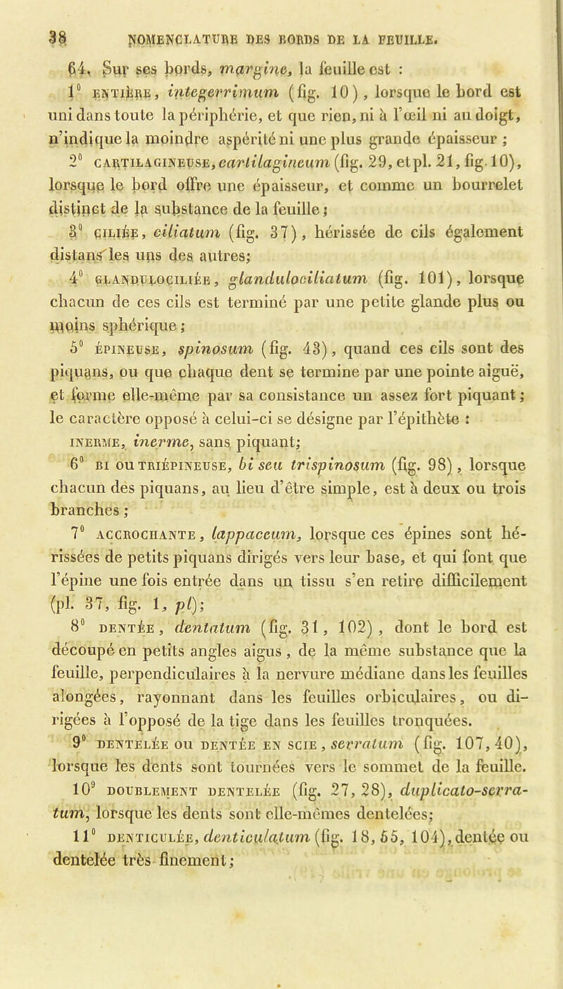 Ç4, Suv ses bords, mfirgine, la feuille est : 1“ ENTiliRE, integevrimum (fig. 10), lorsque le bord est uni dans toute la périphérie, et que rien, ni à l’œil ni au doigt, n’indique la moindre aspérité ni une plus grande épaisseur; 2° CARTILAGINEUSE,crtrltïagiVicum (fig. 29, elpl. 21, fig. 10), lorsque le bord olFre une épaisseur, et comme un bourrelet distioet de lu substance de la feuille ; S“ qiLiiE, ciliaium (fig. 37), hérissée de cils également distans'les uns des autres; 4“ GLANDULOciLiÉE, glanclulooiliatum (fig. 101), lorsque chacun de ces cils est terminé par une petite glande plus ou rqoius sphérique; 5“ ÉPINEUSE, $pinosmn (fig. 48), quand ces cils sont des piqvians, ou que chaque dent se termine par une pointe aiguë, et forme elle-même par sa consistance un assez fort piquant ; le caractère opposé à celui-ci se désigne par l’épithète : iNERME, incrme, sans piquant; 6” RI ouTRiÉPiNEUSE, bt scu trlspinosum (fig. 98), lorsque chacun des piquans, au lieu d’être simple, est h deux ou trois branches ; 7“ ACCROCHANTE, lappaceum, lorsque ces épines sont hé- rissées de petits piquans dirigés vers leur base, et qui font que l’épine une fois entrée dans un tissu s’en retire difficilement (pl. 37, fig. 1, pi); 8“ DENTÉE, dentatum (fig. 31, 102), dont le bord est découpé en petits angles aigus, de la même substance que la feuille, perpendiculaires à la nervure médiane dans les feuilles alongées, rayonnant dans les feuilles orbicufaircs, ou di- rigées à l’opposé de la tige dans les feuilles tronquées. 9“ DENTELÉE ou DENTÉE EN SCIE , serraiuni (fig. 107,40), lorsque les dents sont tournées vers le sommet de la feuille. lO** DOUBLEMENT DENTELÉE (fig. 27, 28), dupUcato-scrra- tum, lorsque les dents sont clle-mêmes dentelées; 11“ jigî^TicvhÛE, dcnticu/atum{üg, 18,65, 104), dentéè ou dentelée très finement;