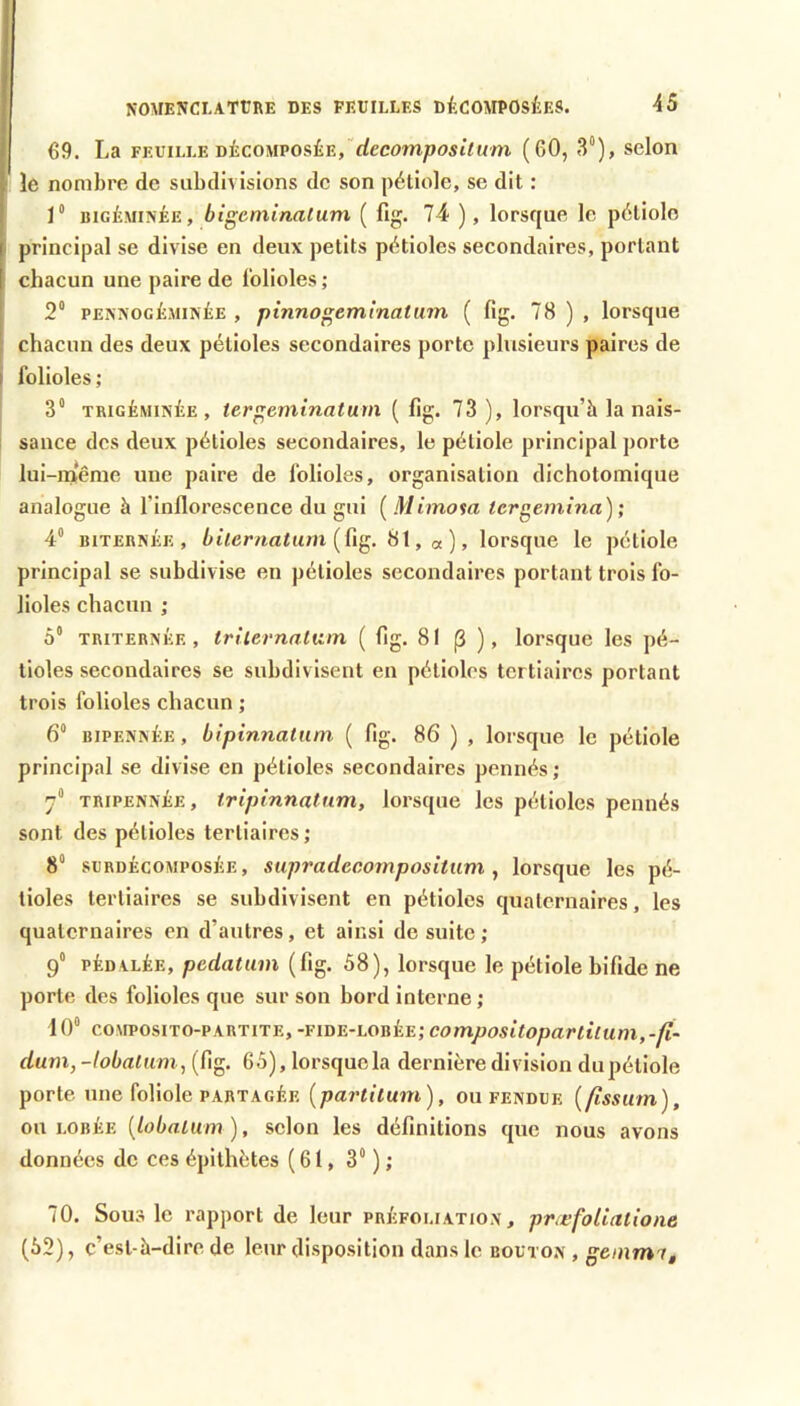 69. La FEUILLE DÉCOMPOSÉE,“rfecom/josiVMm (60, 3“), selon le nombre de subdivisions de son pétiole, se dit : 1“ BiGÉMiNÉE, btgeminatum ( fig. 74 ), lorsque le pétiolo principal se divise en deux petits pétioles secondaires, portant chacun une paire de lolioles ; 2“ PEXNOcÉMiNÉE , ptnnogemmât 11771 ( fig. 78 ) , lorsque chacun des deux pétioles secondaires porte plusieurs paires de folioles ; 3“ TRiGÉMiNÉE , tergeniinatum ( fig. 73 ), lorsqu’à la nais- sance des deux pétioles secondaires, le pétiole principal porte lui-même une paire de folioles, organisation dichotomique analogue à l’inflorescence du gui [Mimom tergoiihia) ; 4“ BiTERNÉE, bilernatiwi {üg. 8l,ot), lorsque le pétiole principal se subdivise en pétioles secondaires portant trois fo- lioles chacun ; 5“ TRiTERNÈE, trile/'natK/n ( fig. 81 p ), lorsque les pé- tioles secondaires se subdivisent en pétioles tertiaires portant trois folioles chacun ; 6* BiPENNÉE, bipmnatnm ( fig. 86 ) , lorsque le pétiole principal se divise en pétioles secondaires pennés ; 7® TRiPENXÉE, tripinnatum, lorsque les pétioles pennés sont des pétioles tertiaires ; 8* SURDÉCOMPOSÉE, supradecotnposùum y lorsque les pé- tioles tertiaires se subdivisent en pétioles quaternaires, les quaternaires en d’autres, et ainsi de suite; 9° PÉDALÉE, pedatum (fig. 58), lorsque le pétiole bifide ne porte des folioles que sur son bord interne ; 10“ coMPOsiTO-PARTiTE, -fide-lobée; compositopartiium,-fi- dum,-lobalumy (fig. 65), lorsque la dernière division dupétlole porte une foliole PARTAGÉE {pai'tilum), ou fendue [ftssu/n), ou LOBÉE {lobnlum ), selon les définitions que nous avons données de ces épithètes (61, 3“ ) ; 70. Sous le rapport de leur préfoliation, præfoUalione (52), c’est-à-dire de leur disposition dans le bouton , geinm^^
