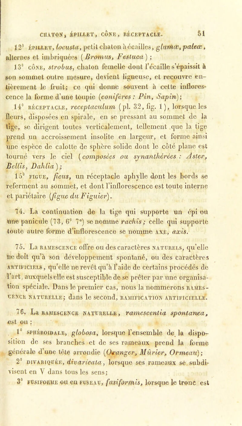 12“ Epillet, loeusta, petit chaton h écailles, glwtnæ, paleœ, alternes et imbriquées ( Bromus, Festuca ) ; 13“ CÔNE, strobus, chaton femelle dont l’écaille s’épaissit à son sommet outre mesure, devient ligneuse, et recouvre en- tièrement le fruit J ce qui donne souvent à celte inflores- cence la forme d’une toupie (conifères: Pin, Sapin); 14“ rEceptacle, receptaculum (pl. 32, fig. 1), lorsque les fleurs, disposées en spirale, en se pressant au sommet de la lige, se dirigent toutes verticalement, tellement que la tige prend un accroissement insolite en largeur, et forme ainsi une espèce de calotte de sphère solide dont le côté plane est tourné vers le ciel (composées ou sjnanlliérées : Aster, Bellis, Dahlia ) ; 15“ FIGUE, /(CMS, un réceptacle aphylle dont les bords se referment au sommet, et dont l’inflorescence est toute Interne et pariétaire (figue du Figuier). 74. La continuation de la tige qui supporte un épi ou une panicule (73, 6“ 7®) se nomme rachis; celle qui supporte toute autre forme d’inflorescence sc nomme axe, axis. 75. La RAMESCENCE offre ou des caractères naturels, qu’elle ne doit qu’à son développement spontané, ou des caractères ARTIFICIELS, qu’elle ne revêt qu’à l’aide de certains procédés de l’art, auxquels elle est susceptible de se prêter par une organisa- tion spéciale. Dans le premier cas, nous la nommerons rames- cence naturelle; dans le second, ramification artificielle. 76. La ramescence naturelle, ramescentia spontanea, est ou : 1“ sphEroidale, globosa, lorsque l’ensemble de, la dispo- sition de ses branches et de ses rameaux prend la forme générale d’une tête arrondie (Oi^anger, Mûrier, Ormeau); 2“ divariquEe, divaricala, lorsque ses rameaux se subdi- visent en V dans tous les sens; 3“ FUSIFORME ou en fuseau, fusiformis, lorsque le tronc est