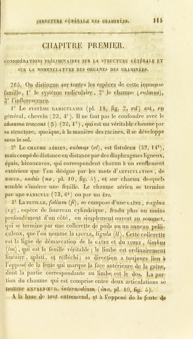 STRüCTÜIiE des (JRAMIÜjipS, H5 chapitre: premier, CONSpÉRATIONS PI^ÉLIMI?!AipES S|JR ]LA ST'ppCTÜEE Ç^JJ^RAES SXIJl LA NO^EÎfpEA'APRfi PJ?S ORGANES DES GRAJÎffVÉpS. 265, Qn 4i^ïiPgWP: surtoptps }ps espèces de cqtte ininiense famille, 1“ le systèpiip rfidjpulairp, 2“ Je chappie lculrfius)f 5,“ rinflprescpppp. 1“ Le SYSTiiME RADICULAIRE (pl, 18, %, 2, rd) est, ep général, chevelu (23, 4“). Il ne faut pas le confondre avec le chaume traçant (j3) (33, 1“ ), qui est un véritable chaume par sa structure, quoique, à la manière des racines, il se développe sous le sol. 2“ Le CHAUME AÉRIEN, cu/mtfs (g/), est fistuleux (32, 14“), mais coupé de distance eq distance par des diaphragmes ligneux, épais, biconcaves, qui correspondent chacun h. un renflement extérieur que Fon désigne par les mots d’articulation , de NOEUD, nodùs {no, pl. 10, flg. 6) , et sur chacun desquels semble s’insérer une fenille. Le chaume aérien se termine par qne panicule (73, 6*!) ou par un épi. S** La FEUILLE,/hh'Mm {fi), se compose d’une g aîné, vagina (ug), espèce de fourreau cylindrique, fendu plus ou moins prolbndemeqt d’un côté, ou sjmplcniept ouvert au sompiet, tpii se termine par une collerette fle poils pu un aqneaq peflir çuleux, que l’on pomme la ligule, ligula {II). Cette cofleppttp est la ligne dp démarcatiop de la gaîne et du limre , lii^bu^ {Im) , ipi est la feuille véritable ; le limbe est ordinaippmenl. linéaipe, qplali, ej; réfléchi ; sa 4iEec|.iQn a tpujpurs lieq à l’opposé de Ifi fepte qpi marque la face antérieure de l?i gRÎPQ, dont la partie correspondante au limhp est le dos. Lr por- tion du chaume qui est comprise entre deux articulations se qpmqip EijîTBENqEUD, wtemodium {ino., pl. 10, fig. 5).