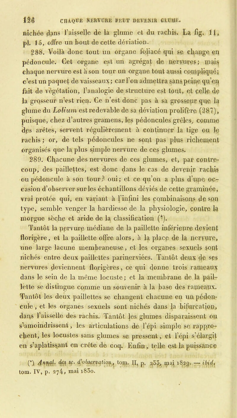 CnAQtK NERVURE PEUT DEVENIR CLUAlE. nichée d^ns l’aisselle de la glame cl du rachis. La fig. 11, pl. 15, offre un bout de celte déviation. 288. Voilà donc tout un organe foliacé qui se change en pédoncule. Cet organe est un agrégat de nervures; mais chaque nervure est à son tour un organe tout aussi compliqué; c’est un paquel de vaisseaux; car l’on admettra sans peine qu’en fait de végétation, l’analogie de structure est tout, et celle de la grosseur nVst rien. Ce n’est donc pas à sa grossepr que la glume du Loltum est redevable de sa déviation prolifère (387), puisque, chez d’autres gramens, les pédoncules grêles, comme dps arêtes, servent régulièrement à continuer la tige ou le rachis ; or, de tels pédoncules ne sont pas plus richement organisés que la plus simple nervure de ces glumes. 289. Chacune des nervures de ces glumes, et, par contre- coup, des paillettes, est donc dans le cas de devenir rachis ou pédoncule à son tour .9 oui ; et ce qu’on a plus d’une oc- casion d’observer sur les échantillons déviés de cette graminée, vrai protée qui, en variant à l’infini les combinaisons de son type, semble venger la hardiesse de la physiologie, contre la mepgue sèche et aride de la classification (*). Tantôt la pprvurp médiane de la paillette inférieure devient florigère, et la paillette offre alors, à la placp de la nervure, une large lacune membraneuse, et les organes sexuels sont nichés entre deux paillettes parinerviées. Tantôt deux de sps nervures deviennent florigères, ce qui donne trois rameaux dans le sein de la même locuste ; et la membrane de la pail- lette se distingue comme un souvenir à la base des rameaux. Tantôt les deux paillettes se changent chacune en un pédon- cule , et les organes sexuels sont nichés dans la bifurcation, tlans l’aisselle des rachis. Tantôt |es glumes disparaissent ou s’amoindrissent, les articulations de l’épi simple se rappro- chent, les locustes sans glumes se pressent, et l’épi s’élargit en s’aplatissant en crête de coq. Enfin, telle est la puissance (*) à^'ob^eijvation, loqi. H, p. ipai i8,3g. — ibid, tom. IV, p. 274, mai i83o.