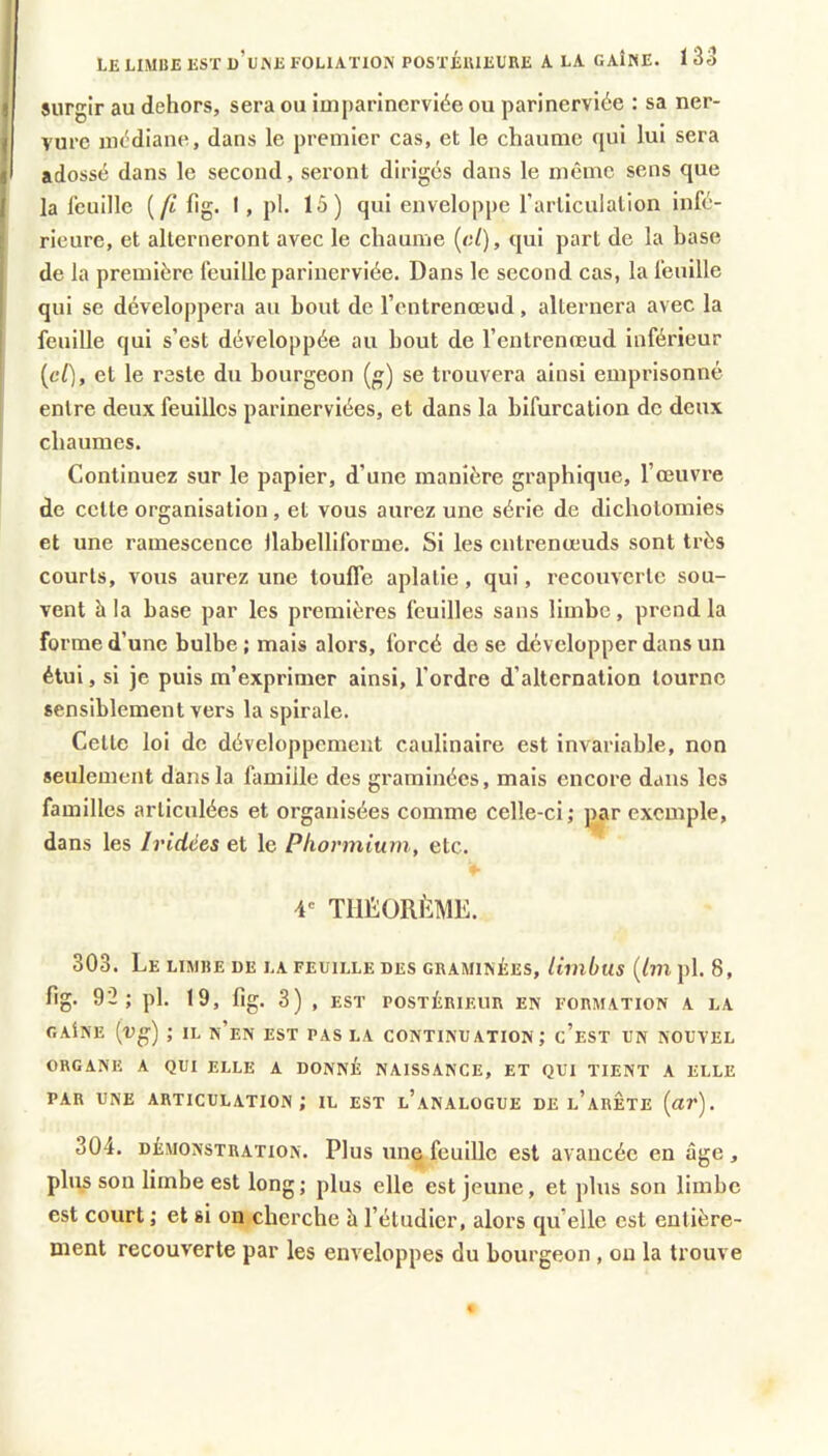 LE LIMBE EST d’uWE FOLIATION POSTÉlUEURE A LA GAINE. 1 33 surgir au dehors, sera ou imparlncrviée ou parinerviée : sa ner- vure mt^diane, dans le premier cas, et le chaume qui lui sera adossé dans le second, seront diriges dans le même sens que la feuille (/t lig. I, pl. 15) qui enveloppe rarticulalion infé- rieure, et alterneront avec le chaume {al), qui part de la base de la première feuille parinerviée. Dans le second cas, la feuille qui se développera au bout de l’cntrenœud, alternera avec la feuille qui s’est développée au bout de l’entrenreud inférieur [cC], et le reste du bourgeon {) se trouvera ainsi emprisonné entre deux feuilles parinerviées, et dans la bifurcation de deux chaumes. Continuez sur le papier, d’une manière graphique, l’œuvre de cette organisation, et vous aurez une série de dichotomies et une ramescence llabelliforme. Si les entrenœuds sont très courts, vous aurez une touffe aplatie, qui, recouverte sou- vent à la base par les premières feuilles sans limbe, prend la forme d’une bulbe; mais alors, forcé de se développer dans un étui, si je puis m’exprimer ainsi, l’ordre d’alternation tourne sensiblement vers la spirale. Cette loi de développement caulinaire est invariable, non seulement dans la famille des graminées, mais encore dans les familles articulées et organisées comme celle-ci; par exemple, dans les Iridées et le Phormium, etc. 4' TimORÈME. 303. Le limbe de la feuille des graminées, limbus {Im pl. 8, fig. 92; pl. 19, lîg. 3) , EST postérieur en formation a la gaIne [v^) ; II, n’en est pas la continuation; c’est un nouvel ORGANE A QUI ELLE A DONNÉ NAISSANCE, ET QUI TIENT A ELLE PAR UNE articulation; il est l’analogue de l’arête («r). 304. DÉMONSTRATION. Plus Une feuille est avancée en âge, plus SOU limbe est long; plus elle est jeune, et plus son limbe est court ; et si on cherche h l’étudier, alors qu elle est entière- ment recouverte par les enveloppes du bourgeon , on la trouve