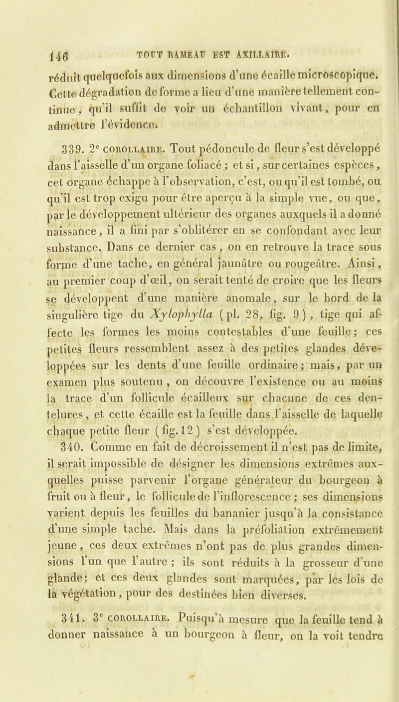 réduit quelquefois aux dimensions d’une écaille microscopique. Celte dégradation do forme a lieu d’une manière tellement con- tinue, qu’il suffit do voir un éclianlillon vivant, pour en admettre l’évidence. 339. 2® COROLLAIRE. Tout pédonculo de fleur s’est développé dans l’aisselle d’un organe foliacé ; et si, sur certaines espèces, cet organe échappe à l’observation, c’est, ou qu’il est tombé, ou qu’il est trop exigu pour être aperçu h la simple vue, ou que, parle développement ultérieur des organes auxquels il adonné naissance, il a fini par s’oblitérer en se confondant avec lem* substance. Dans ce dernier cas, on en retrouve la trace sous forme d’une tache, en général jaunâtre ou rougeâtre. Ainsi, au pi’emier coup d’œil, on serait tenté de croire que les fleurs se développent d’une manière anomale, sur le bord de la singulière lige du Xylophylla ( pl. 28, fig. 9 ) , lige qui af- fecte les formes les moins contestables d’une feuille ; ces petites fleurs ressemblent assez à des petites glandes déve- loppées sur les dents d’une feuille ordinaire ; mais, par un examen plus soutenu , on découvre l’existence ou au moins la trace d’un follicule écailleux sur chacune de ces den- telures , et cette écaille est la feuille dans l’aisselle de laquelle chaque petite fleur (fig. 12) s’est développée. 340. Comme en fait de décroissement il n’est pas de limite, il serait impossible de désigner les dimensions extrêmes aux- quelles puisse parvenir l’organe générateur du bourgeon à fruit ou à fleur, le follicule de l’inflorescence ,* ses dimensions varient depuis les feuilles du bananier jusqu’à la consistance d’une simple tache. Mais dans la préfoliation extrêmement jeune, ces deux extrêmes n’ont pas do plus grandes dimen- sions l’un que l’autre ; ils sont réduits h la grosseur d'une glande; et ces deux glandes sont marquées, par les lois de la végétation, pour des destinées bien diverses. 3il. 3® COROLLAIRE. Puisqu’â mcsurc que la feuille tend à donner naissance à un bourgeon à fleur, on la voit tendre