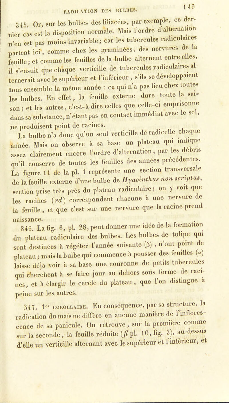 radication des bulres. 345. Or, sur les bulbes des liliacées, par exemple, ce der- nier cas est la disposition normale. Mais l’ordre d’alternation n’en est pas moins Invariable; car les tubercules radiculaires partent ici, comme chez les graminées, des nervures de a feuille ; et comme les leullles de la bulbe alternent entre elles, il s’ensuit que chaque verticllle de tubercules radiculaires al- ternerait avec le supérieur et l’inférieur, s’ils se développaient tous ensemble la même année : ce qui n’a pas lieu chez toutes les bulbes. En effet, la feuille externe dure toute la sai- son ; et les autres, c’est-k-dire celles que celle-ci emprisonne dans sa substance, n’étantpas en contact immédiat avec le so , ne produisent point de racines. La bulbe n’a donc qu’un seul verlicille dé radicelle chaque année. Mais on observe à sa base un plateau qui in^ue assez clairement encore l’ordre d alternation, par les qu’il conserve de toutes les feuilles des années précédentes. La figure 11 de la pl. 1 représente une section transversale de la feuille externe d’une bulbe de Hyacinthus non scriplus, section prise très près du plateau radiculaire; on y voit que les racines [rd) correspondent chacune à une nervure de la feuille, et que c’est sur une nervure que la racine prend naissance. 346. Lafig. 6, pl. 28, peut donner une idée de la formation du plateau radiculaire des bulbes. Les bulbes de tulipe qui sont destinées à végéter l’année suivante (p) , n’ont point de plateau; mais la bulbe qui commence 'a pousser des feuilles («) laisse déjà voir k sa base une couronne de petits tubercules qui cherchent k se faire jour au dehors sous forme de raci- nes , et k élargir le cercle du plateau, que l’on distingue a peine sur les autres. 347. 1'' COROLLAIRE. En conséqueuce, par sa sti’ucture, la radication du maïs ne diffère en aucune manière de l’inflores- cence de sa panicule. On retrouve, sur la première comme sur la seconde, la feuille réduite (/t ph 10> Ag* au dessus d’elle un verticille alternant avec le supérieur et l’inférieur, et