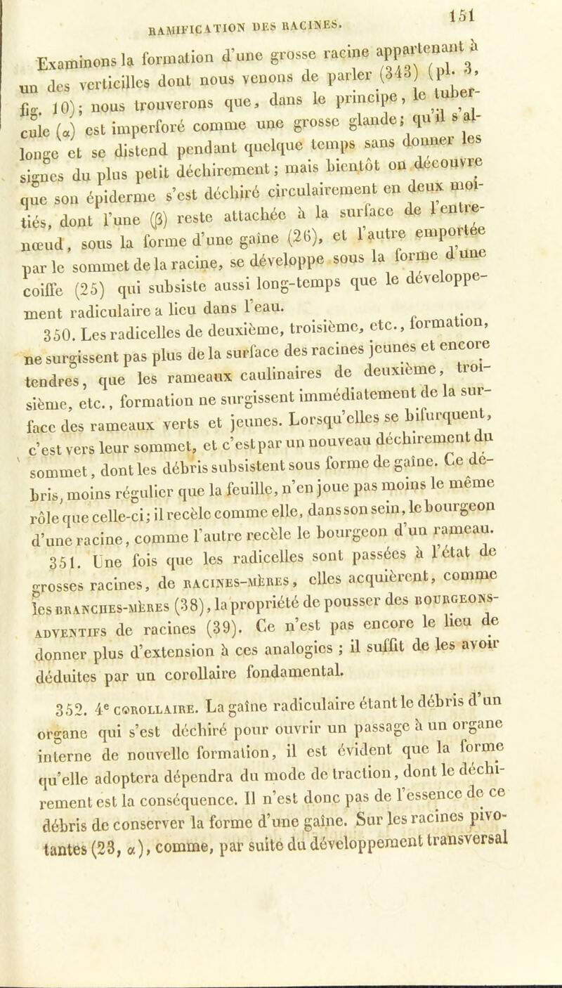 BAMIIICATION UES lUCllNES. Examinons la formalion d’une grosse racine un des vcrticillcs dont nous venons de parler (313 U _ . fio- 10); nous trouverons que, dans le principe, e^ ^ ^ c5e(«) est iinperforé eomme une grosse glande ; qu il s al- longe et se distend pendant quelque temps sans dounei les sio-L du plus petit déchirement; mais hientôt on découvre que son épiderme s’est déchiré circulairement en deux moi- tiés, dont l’une (p) reste attachée h la surface de leni nœud, sous la forme d’une gaine (26), et 1 autre emportée parle sommet delà racine, se développe sous la orme coiffe (25) qui subsiste aussi long-temps que le déve oppe ment radiculaire a lieu dans 1 eau. 350. Les radicelles de deuxième, troisième, etc., formation, ne surgissent pas plus de la surface des racines jeunes et encore tendres, que les rameaux caulinaires de deuxieme tioi- sième, etc., formation ne surgissent immédiatement de la sur- face des rameaux verts et jeunes. Lorsqu’elles se bifurquent, c’est vers leur sommet, et c’estpar un nouveau déchirement du ' sommet, dont les débris subsistent sous forme de gaine. Le de- bris, moins régulier que la feuille, n’en joue pas moins le meme rôle que celle-ci; il recèle comme elle, dans son sein, le bourgeon d’une racine, comme l’autre recèle le bourgeon d’un rameau. 351. Une fois que les radicelles sont passées à 1 état de grosses racines, de RACiNES-MÎiRES, elles acquièrent, comme lesRRANCHES-MbRES (38), la propriété de pousscr des bourgeons- xnvEXTiFS de racines (39). Ce n’est pas encore le heu de donner plus d’extension à ces analogies ; il suffit de les avoir déduites par un corollaire fondamental. 352. 4® COROLLAIRE. La gaine radiculaire étant le débris d un organe qui s’est déchiré pour ouvrir un passage h un organe interne de nouvelle formation, il est évident que la forme quelle adoptera dépendra du mode de traction, dont le déchi- rement est la conséquence. 11 n’est donc pas de 1 essence de ce débris de conserver la forme d’une gaine. Sur les racines pivo- tantes (23, a ) > comme, par suite du développement transversal