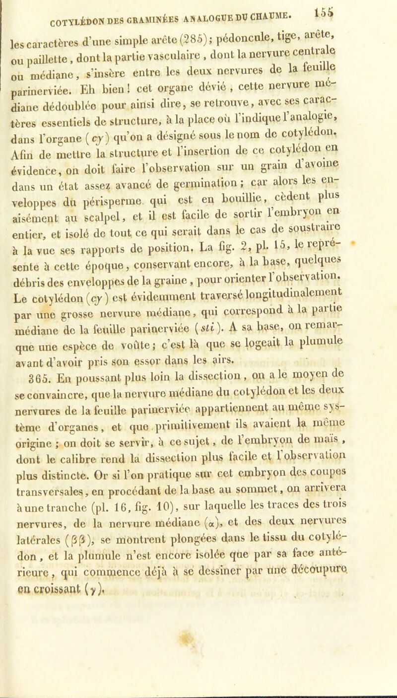 COTYLÉDON DES GRAMINÉES ANALOGUE DU CHAUME. les caractères d’une simple arête (285) ; pédoncule, tige, arête, ou paiUette. dont la partie vasculaire . dont la nervure centra e ou médiane, s’insère entre les deux nervures de la leuille parinerviée. Eh bien ! cet organe dévié , cette nervure mé- diane dédoublée pour ainsi dire, se retrouve, avec ses carac- tères essentiels de structure, à la place où l’indique l’analogie, dans l’organe (cj) qu’on a désigné sous le nom de cotylédon. Afin de mettre la structure et l’insertion de ce cotylédon en évidence, on doit faire l’observation sur un grain d avoine dans un état assez avancé de germination ; car alors les en- veloppes du périsperme qui est en bouillie, cèdent p us aisément au scalpel, et il est facile de sortir l’embryon en entier, et isolé de tout ce qui serait dans le cas de soustraire h la vue ses rapports de position. La fig. 2, pl. 15, le lepr sente h cette époque, conservant encore, à la base, quelque» débris des enveloppes de la graine , pour orienter l’observation. Le cotylédon (cy ) est évidemment traversé longitudmalemeiU par une grosse nervure médiane, qui correspond à la paitie médiane do la feuille parinerviée [sti). A sa base, ou remar- que une espèce de voûte ; c’est là que se logeait la plumule avant d’avoir pris son essor dans les airs. 365. En poussant plus loin la dissection , on a le moyen de se convaincre, que la nervure médiane du cotylédon et les deux nervures de la feuille parinerviée appartiennent au même sys- tème d’organes, et que primitivement ils avaient la meme origine ; on doit se servir, à ce sujet, de 1 embryon de mais , dont le calibre rend la dissection plus lacile et 1 observation plus distincte. Or si l’on pratique sur cet embryon des coupes transversales, en procédant de la base au sommet, on arrivera à une tranche (pl. 16. fig. 10), sur laquelle les traces des trois nervures, de la nervure médiane («), et des deux nervures latérales ({3 [3), se montrent plongées dans le tissu du cotylé- don , et la plumule n’est encore Isolée que par sa face anté- rieure, qui commence déjà à se dessiner par une découpure en croissant ( y ).