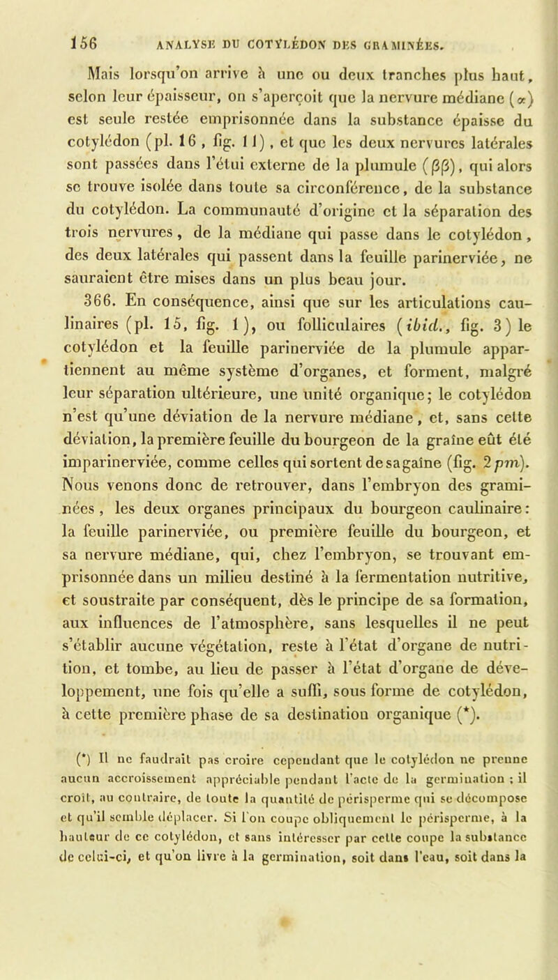 Mais lorsqu’on arrive h une ou deux tranches plus haut, selon leur épaisseur, on s’aperçoit que la nervure médiane (a) est seule restée emprisonnée dans la substance épaisse du cotylédon (pl. 16 , fig. I J) , et que les deux nervures latérales sont passées dans l’étui externe de la plurnule (PP), qui alors se trouve isolée dans toute sa circonférence, de la substance du cotylédon. La communauté d’origine et la séparation des trois nervures, de la médiane qui passe dans le cotylédon, des deux latérales qui passent dans la feuille parinerviée, ne sauraient être mises dans un plus beau jour. 366. En conséquence, ainsi que sur les articulations cau- linaires (pl. 15, lîg. 1), ou folliculaires (ibid,, fig. 3) le cotylédon et la feuille parinerviée de la plurnule appar- tiennent au même système d’organes, et forment, malgré leur séparation ultérieure, une unité organique; le cotylédon n’est qu’une déviation de la nervure médiane, et, sans cette déviation, la première feuille du bourgeon de la graine eût été imparinerviée, comme celles qui sortent de sa gaine (fig. 2p?n). Nous venons donc de retrouver, dans l’embryon des grami- nées , les deux organes principaux du bourgeon caubnaire : la feuille parinerviée, ou première feuille du bourgeon, et sa nervure médiane, qui, chez l’embryon, se trouvant em- prisonnée dans un milieu destiné h la fermentation nutritive, et soustraite par conséquent, dès le principe de sa formation, aux influences de l’atmosphère, sans lesquelles il ne peut s’établir aucune végétation, reste à l’état d’organe de nutri- tion, et tombe, au lieu de passer à l’état d’organe de déve- loppement, une fois qu’elle a suffi, sous forme de cotylédon, à cette première phase de sa deslinatiou organique (*). (*) Il ne faudrait pas croire cependant que le cotylédon ne prenne aucun accroissement appréciable pendant fade de la germination ; il croît, au contraire, de toute la quantité de périsperme qui se décompose et qu’il semble déplacer. Si l'on coupe obliquement le périsperme, à la liauteur de ce cotylédon, et sans intéresser par cette coupe la subitance de celui-ci, et qu’on livre à la germination, soit dam l’eau, soit dans la