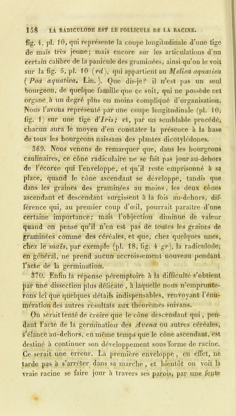 fig. 4, pl. 10, qui représente la coupe longitudinale d’une tige de maïs très jeune; mais encore sur les articulations d’un certain calibre de la panicule des graminées, ainsi qu’on le voit sur la fig. 5, pl. tO (rd), qui appartient au Melica aqualica ( Poà aquatica. Lin. ). Que dis-je P il n’est pas un seul bourgeon, de quelque famille que ce soit, qui ne possède cet organe h un degré plus ou moins compliqué d’organisation. Nous l’avons représenté par une coupe longitudinale (pl. 10, fig. t) sur une tige (TIris; et, par un semblable procédé, chacun aura le moyen d’en constater la présence à la base de tous les bourgeons naissans des plantes dicotylédones. 369. Nous venons de remarquer que, dans les bourgeons caulinaires, ce cône radiculaire ne se fait pas jour au-dehors de l’écorce qui l’enveloppe, et qu’il reste emprisonné à sa place, quand le cône ascendant se développe, tandis que dans les graines des graminées au moins, les deux cônes ascendant et descendant surgissent à la fois au-dehors, dif- férence qui, au premier coup d’œil, pourrait paraître d’une certaine importance; mais l’objection diminue de valeur quand on pense qu’il n’en est pas de toutes les graines de graminées comme des céréales, et que, chez quelques unes, chez le mais, par exemple (pl. 18, fig. 4 gr), la radiculode; en géUéral, ne prend aucun accroissement nouveau pendant l’acte de la germination. 370. Enfin la réponse péremptoire h la difficulté s’obtient par Une dissection plus délicEite , h laquelle nous n’emprunte- roUs ici que quelques détails indispensables, renvoyant l’énu- mération des autres résultats aux théorèmes suivans. On serait tenté de croire que le cône descendant qui, pen- dant l’acte de la germination des Avena ou autres céréales, s’élance aU-dehors, en même temps que le cône ascendant, est destiné à continuer son développement sous forme de racine. Ce serait une erreur. La première enveloppe , en elfet, ne tarde pas à s’arrêter dans sa marche, et bientôt on volt lâ vraie racine se faire jour h travers ses parois, par une fente