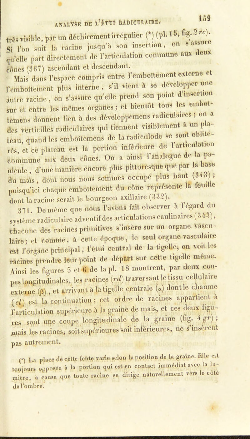 analyse de l’étdi îvadicelaiee. très visible, par un déchirement irrégulier (*) (ph 15, ^'8; ^ ^)- Si l’on suit la racine jusqu’à son inscrlion, on s qu’elle part directement de l’articulation commune aux deux cônes ^367) ascendant et descendant. Mais dans l’espace compris entre l’emboîtement externe et l’emboîtement plus interne , s’il vient h se développer une autre racine, on s’assure qu’elle prend son point dmserUon sur et entre les mêmes organes; et bientôt tous les emboi- temens donnent lieu h des développemens radiculaires ; on a des verticilles radiculaires qui tiennent visiblement à un p a- teau, quand les emboîtemens de la radiculode sc sont ob i rés, et ce plateau est la portion inférieure de 1 articulation commune aux deux cônes. On a ainsi l’analogue de la pa- nicule, d’une manière encore plus pittoresque que par a base du maïs, dont nous nous sommes occupé plus haut (3 j , puisqu’il chaque emboîtement du cône reiu'ésente là leuilte dont la racine serait le bourgeon axillaire [332). 371. De même que nous l’avbns fait observer à 1 égard du système radiculaire adventifdes articulations caubnaires (343), ckacune des racines primitives s’insère sur un organe vascu- laire; et comme, à cette époque, le seul organe vasculaire est l’organe principal, l’étui central de la tigeUe, on voU es racines prendre leur point de départ sur cette tigelle même. Ainsi les figures 5 et 6 de la pl. 18 montrent, par deux cou- pes longitudinales, les racines (ri/) traversant le tissu cellulaire externe (p) , et arrivant à la tigelle centrale («) dontle chaume (c/) est la continuation; cet ordre de racines appartient à l’ai'ticulation supérieure h la graine de mais, et ces deux figu- res sont une coupe longitudinale de la graine (fig. 4 gr) , mais Les racines, soit supérieures soit inférieures, ne s’insèrent pas autrement. (*) La place de celte fente varie selon la position de la graine. Elle est touiouis opposée à la portion qui est en contact immédiat avec la lu- mière, à cause que toute racine se dirige naturellement vers le cote de l’ombre.