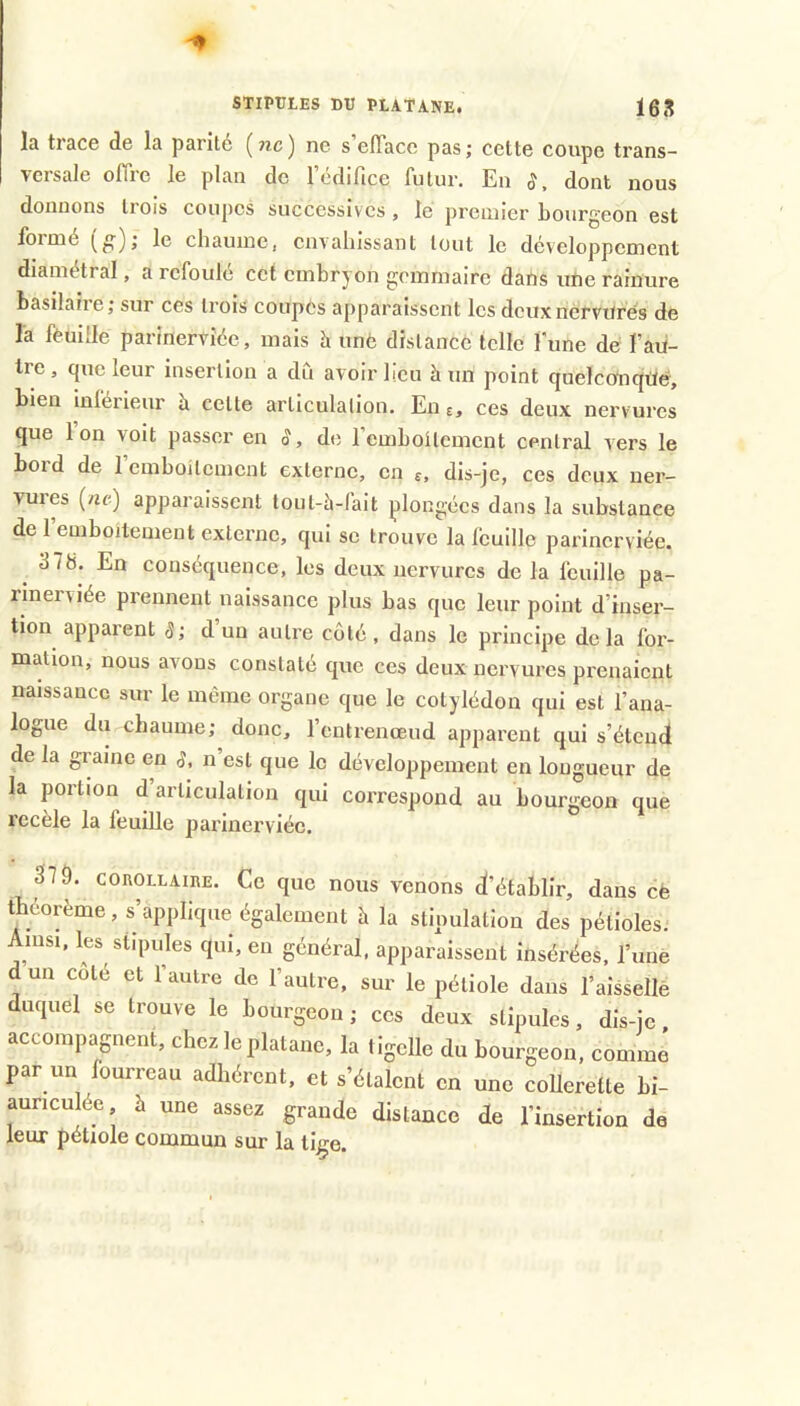 STIPULES DU PLATANE. les la trace de la parité (?îc) ne s eflace pas; celte coupe trans- versale offre le plan de l’édifice futur. En §, dont nous donnons liois coupes successives, le premier Ijourgeon est formé (^); le chaume, envahissant tout le développement diamétral, a refoule cet embryon gemmaire daus une rainure basilaiie; sur ces trois coupCs apparaissent les doux nervures de la feuille parinerviée, mais h unè distance telle l’une de l’au- tre , que leur insertion a du avoir lieu à un point quelconque, bien inferieur h celte articulation. En e, ces deux nervures que 1 on voit passer en S, de remhoUement central vers le boid de 1 emboilcment externe, en e, dis-je, ces deux ner- vures (ne) apparaissent toul-à-fait plongées dans la substance de 1 emboîtement externe, qui se trouve la Icuille parinerviée. ^ 378. En conséquence, les deux nervures de la feuille pa- rinerviée prennent naissance plus bas que leur point d’inser- tion appai'ent S; d un autre côté, dans le principe delà for- mation, nous avons constaté que ces deux nervures prenaient naissance sur le même organe que le cotylédon qui est l’ana- logue du chaume; donc, l’entrenœud apparent qui s’étend de la graine en n’est que le développement en longueur de la portion d articulation qui coiTespond au bourgeon que recèle la feuiUe parinerviée. 379. COROLLAIEE. Ce que nous venons d’établir, dans cè théorème, s’applique également è la stipulation des pétioles. Ainsi, les stipules qui, en général, apparaissent insérées, l’une d un coté et l’autre de l’autre, sur le pétiole daus l’aissellè duquel se trouve le bourgeon; ces deux stipules, dis-je, accompagnent, chez le platane, la tigclle du bourgeon, comme par un fourreau adhérent, et s’étalent en une collerette bi- aunculée à une assez grande distance de l’insertion de leur pétiole commun sur la tige.