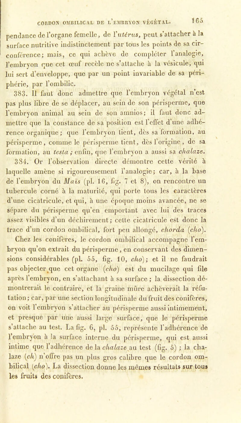CORDON OMBILICAL DE l’eMBRYON VÉGÉTAL. pendance de l’organe femelle, de r«<^rt(s, peut s’attacher à la surface nutritive indistinctement par tous les points de sa cir- conférence; mais, ce qui achève de compléter l’analogie, l’embryon que cet œuf recèle ne s’attache h. la vésicule, qui lui sert d’enveloppe, que par un point invariable de sa péri- phérie, par l’ombilic. 383. Il faut donc admettre que l’embryon végétal n’est pas plus libre de se déplacer, au sein de son périsperme, que l’embryon animal au sein de son amnios; il faut donc ad- mettre que la constance de sa position est reflet d’une adhé- rence organique; que l’embryon tient, dès sa formation, au périsperme, comme le périsperme tient, dès l’origine, de sa formation, au testa ; enfin, que l’embryon a aussi sa chalaze. 384. Or l’observation directe démontre cette vérité à laquelle amène si rigoureusement l’analogie; car, h la base de l’embryon du Maïs (pl. 16, fig. 7 et 8), on rencontre un tubercule corné à la maturité, qui porte tous les caractères d’une cicatricule, et qui, h une époque moins avancée, ne se sépare du périsperme qvi’en emportant avec lui des traces assez visibles d’un déchirement ; cette cicatricule est donc la trace d’un cordon ombilical, fort peu allongé, chorda [cho). Chez les conifères, le cordon ombilical accompagne l’em- bryon qu’on extrait du périsperme, en conservant des dimen- sions considérables (pL 55, fig. 10, cko); et il ne faudrait pas objecter que cet organe [cko) est du mucilage qui file après l’embryon, en s’attachant h sa surface ; la dissection dé- montrerait le contraire, et la graine mûre achèverait la réfu- tation ; car, par une section longitudinale du fruit des conifères, on voit l’embryon s’attacher au périsperme aussi intimement, et presque par une aussi large surface, que le périsperme s’attache au test. La fig. G, pl. 55, représente l’adhérence de l’embryon à la surface interne du périsperme, qui est aussi intime que l’adhérence de la chalaze test (fig. 5) ; la cha- laze (c/l) n’olTre pas un plus gros calibre que le cordon om- bilical [cho), La dissection donne les mêmes résultats sur tous les fruits des conifères.