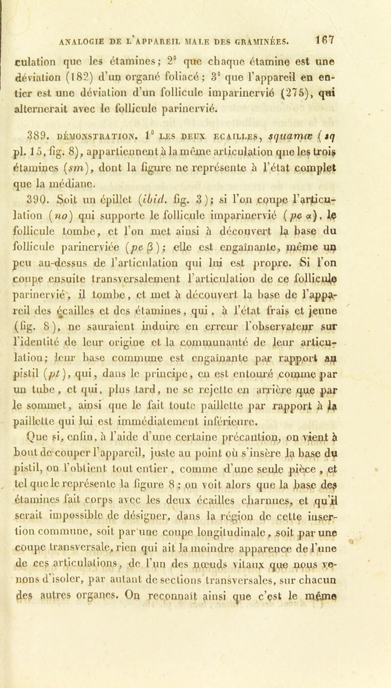 culation que les étamines; 2“ que chaque étamine est une déviation (182) d’un organé foliacé; 3“ que l’appareil en en- tier est une déviation d’un follicule imparinervié (276), qui alternerait avec le follicule parinervié. 389. DÉMONSTRATION. 1“ LES DEUX ECAILLES, SqUXimœ ( tq pl. 15, fig. 8), appartiennent à la même articulation que les txoiÿ étamines (sm), dont la figure ne représente à l’état complet que la médiane. 390. Soit un épillet {Ibid. fig. 3 ) ; si l’on coupe l’arjticu- lation {no) qui supporte le follicule imparinervié (peot), (e follicule tombe, et l’on met ainsi à découvert la base du follicule parinerviée (pe^); elle est engainante, même uq peu au-dessus de l’articulation qui lui est propre. Si l’on coupe ensuite transversalement l’articulation de ce follicule parinervié, il tombe, et mot à découvert la base de l’appa- reil des écailles et des étamines, qui, à l’état frais et jeune (fig. 8), ne sauraient induire on erreur l'observateur sur l’identité de leur origine et la communauté de leur articu- lation; leur base commune est engainante par' rapp,ort ai^ pistil (pi), qui, dans le principe, eu est entouré comme par un tube, et qui, plus tard, ne se rejette en arrièi’e que par le sommet, ainsi que le fait toute paillette pai’ rapport à Ja paillette qui lui est immédiatement inférieure. Que si, enfin, h l’aide d’une certaine précaution, on vient à bout de couper l’appareil, juste au point où s’insère la base du pistil, on l’obtient tout entier , comme d’une seule pièce , et tel que le représente la figure 8 ; on voit alors que la base de^ étamines fait corps avec les deux écailles charnues, et qu’jj serait impossible de désigner, dans la région do celte iuser- tion commune, soit par une coupe longitudinale, soit par une coupe transversale, rien qui ait la moindre apparence de l’une de ces articulations, de l’un des nœuds vitaux que nous ve- nons d’isoler, par autant de sections transversales, sur chacun des autres organes, On reconnaît ainsi que c’est le mémo