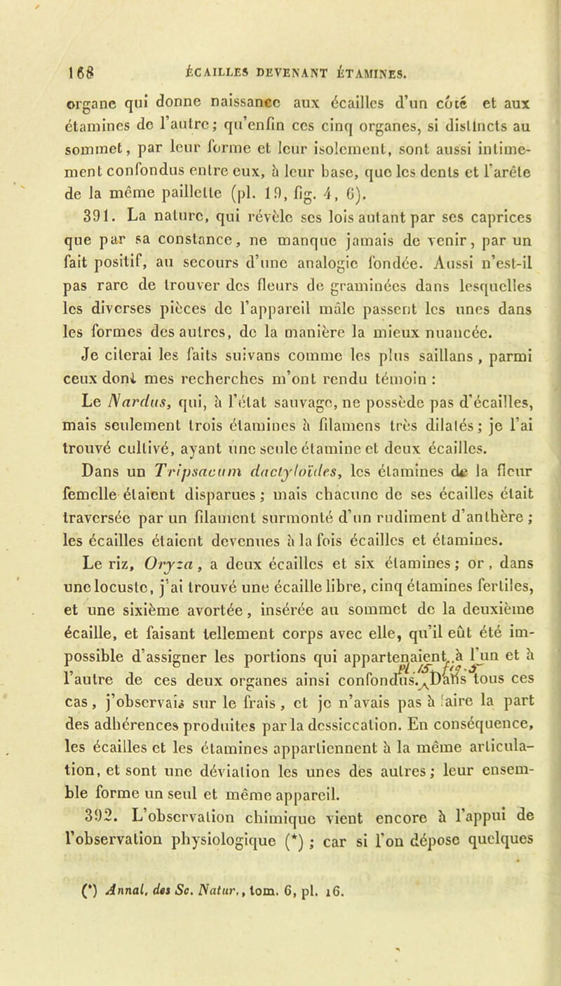 organe qui donne naissance aux écailles d’un coté et aux étamines de raulrc; qu’enfin ces cinq organes, si disllncts au sommet, par leur forme et leur isolement, sont aussi intime- ment confondus enlre eux, à leur base, que les dents et l’arête de la même paillette (pl. 19, fig. 4, G), 391. La nature, qui révèle ses lois autant par ses caprices que par sa constance, ne manque jamais de venir, par un fait positif, au secours d’une analogie fondée. Aussi u’est-il pas rare de trouver des fleurs de graminées dans lesquelles les diverses pièces de l’appareil mâle passent les unes dans les formes des autres, de la manière la mieux nuancée. Je citerai les faits suivans comme les plus saillans , parmi ceux doni mes recherches m’ont rendu témoin: Le N ardus, qui, h l’état sauvage, ne possède pas d'écailles, mais seulement trois étamines h filamens très dilatés; je l’ai trouvé cultivé, ayant une seule étamine et deux écailles. Dans un Tripsaemn dactjloïdes, les étamines de la fleur femelle étaient disparues,* mais chacune de ses écailles était traversée par un fdament surmonté d’un rudiment d’anthère ; les écailles étaient devenues h la fois écailles et étamines. Le riz, Oryza, a deux écailles et six étamines ; or, dans une locuste, j'ai trouvé une écaille libre, cinq étamines fertiles, et une sixième avortée, insérée au sommet de la deuxième écaille, et faisant tellement corps avec elle, qu’il eût été im- possible d’assigner les portions qui appartenaient.à ^^n et h l’autre de ces deux organes ainsi confondus.^Daîfs tous ces cas, j’observais sur le frais, et je n’avais pas à laire la part des adhérences produites par la dessiccation. En conséquence, les écailles et les étamines appartiennent h la même articula- tion, et sont une déviation les unes dés auti’es; leur ensem- ble forme un seul et même appareil. 392. L’observation chimique vient encore h l’appui de l’observation physiologique (*) ; car si l'on dépose quelques (*) Annal, des Sc. Natur,, lom. 6, pl. i6.