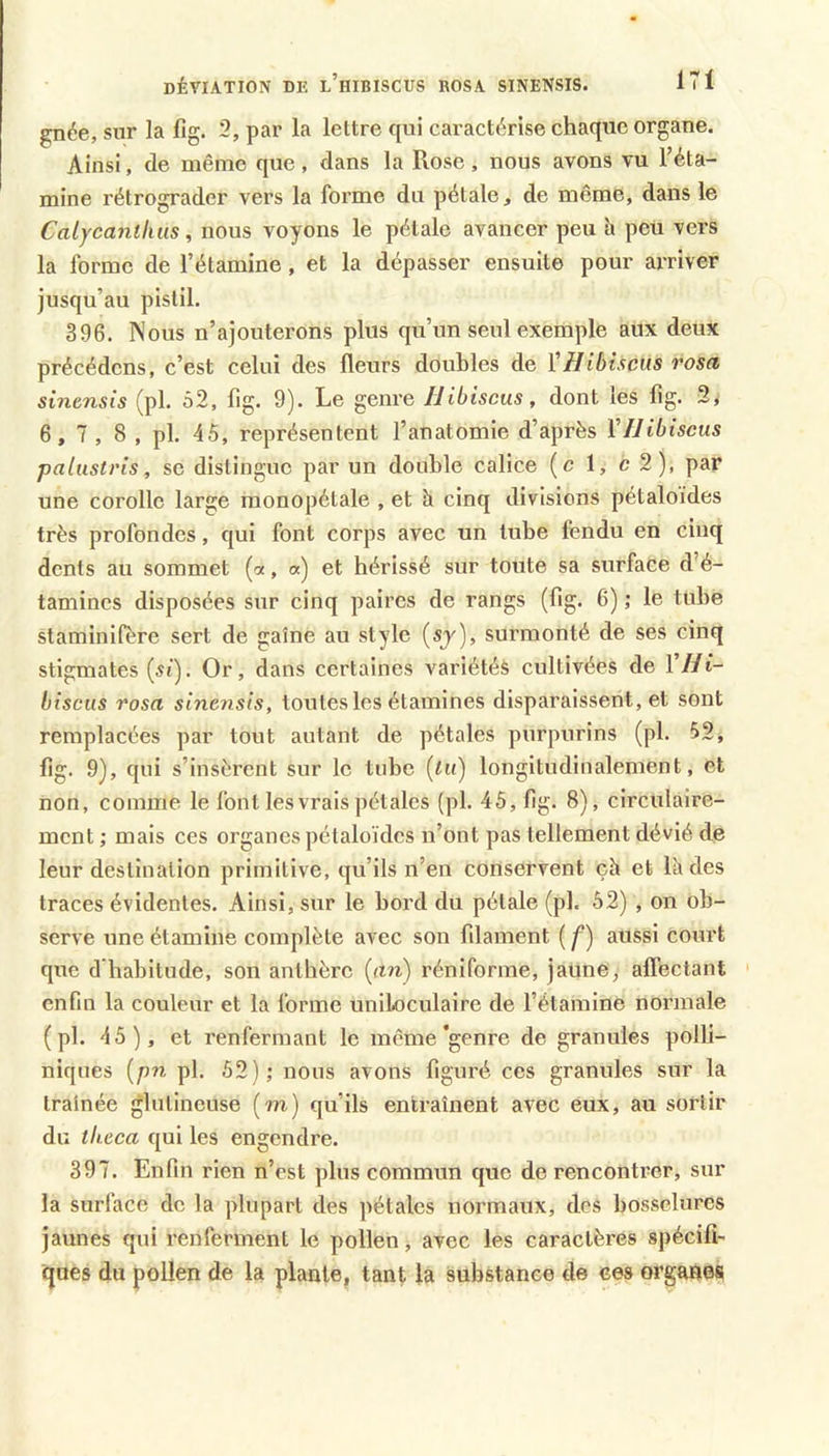 gnée, sur la fig. 2, par la lettre qui caractérise chaque organe. Ainsi, de même que, dans la Rose, nous avons vu l’éta- mine rétrograder vers la forme du pétale, de même, dans le Calycanlhus ^ nous voyons le pétale avancer peu h peu vers la forme de l’étamine, et la dépasser ensuite pour arriver jusqu’au pistil. 396. Nous n’ajouterons plus qu’un seul exemple aux deux précédens, c’est celui des fleurs doubles de VHibiscus rosa sinensis (pl. 52, fig. 9). Le genre Hibiscus, dont les fig. 2, 6, 7, 8 , pl. 45, représentent l’anatomie d’après VHibiscus palustris, se distinguo par un double calice (c 1, c 2), par une corolle large monopétale , et h cinq divisions pétaloides très profondes, qui font corps avec un tube fendu en cinq dents au sommet (o!, a) et hérissé sur toute sa surface d’é- tamines disposées sur cinq paires de rangs (fig. 6) ; le tube staminifère sert de gaine au style (sj)> surmonté de ses cinq stigmates {si). Or, dans certaines variétés cultivées de VHi- biscus rosa sinensis, toutes les étamines disparaissent, et sont remplacées par tout autant de pétales purpurins (pl. 52, fig. 9), qui s’insèrent sur le tube {tu) longitudinalement, et non, comme le font les vrais pétales (pl. 45, fig. 8), clrculaire- ment ; mais ces organes pétaloides n’ont pas tellement dévié de leur destination primitive, qu’ils n’en conservent çè et lè des traces évidentes. Ainsi, sur le bord du pétale (pl. 52) , on ob- serve une étamine complète avec son filament ( f) aussi court que d’habitude, son anthère (rt?i) réniforme, jaune, affectant enfin la couleur et la forme uniloculaire de l’étamine normale (pl. 45), et renfermant le même'genre de granules polli- niques [pn pl. 52); nous avons figuré ces granules sur la traînée glutineuse (m) qu’ils entraînent avec eux, au sortir du theca qui les engendre. 397. Enfin rien n’est plus commun que de rencontrer, sur la surface de la plupart des pétales normaux, des bosselures jaunes qui renferment le pollen, avec les caractères spécifî- ques du pollen de la plante, tant la substance de ces organes