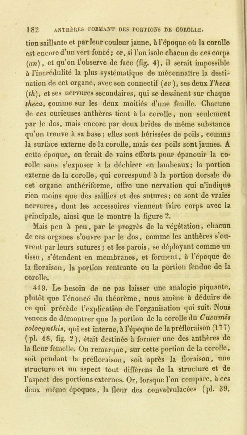 lion saillante et parleur couleur jaune, à l’époque oü la corolle est encore d’un vert foncé ; or, si l’on isole chacun de ces corps {an), et qu’on l’observe de face (fig. 4), il serait impossible à l’incrédulité la plus systématique de méconnaître la desti- nation de cet organe, avec son connectif (en ), ses deux Theca {tk), et ses nervures secondaires, qui se dessinent sur chaque theca, comme sur les deux moitiés d’une feuille. Chacune de ces curieuses anthères tient h la corolle, non seulement par le dos, mais encore par deux brides de même substance qu’on trouve à sa base ; elles sont hérissées de poils, comma la surface externe de la corolle, mais ces poils sont jaunes. A cette époque, on ferait de vains efforts pour épanouir la co- rolle sans s’exposer à la déchirer en lambeaux; la portion externe de la corolle, qui correspond à la portion dorsale do cet organe anthériforme, offre une nervation qui n’indique rien moins que des saillies et des sutures ; ce sont de vraies nervures, dont les accessoires viennent faire corps avec 1» principale, ainsi que le montre la ligure 2. Mais peu à peu, par le progrès de la végétation, chacun de ces organes s’ouvre par le dos, comme les anthères s’ou- vrent par leurs sutures ; et les parois, se déployant comme un tissu, s’étendent en membranes, et forment, à l’époque de la floraison, la portion rentrante ou la portion fendue de la corolle. 419. Le besoin de ne pas laisser une analogie piquante, plutôt que l’énoncé du théorème, nous amène à déduire de ce qui précède l’explication de l’organisation qui suit. Nous venons de démontrer que la portion de la corolle du Cucumts colocyntkis, qui est interne, à l’époque de la préfloraison (1T 7) (pl. 48, fig. 2), était destinée à former une des anthères de la fleur femelle. On remarque, sur cette portion de la corolle, soit pendant la préfloraison, soit après la floraison, une structure et un aspect tout différens de la structure et de l’aspect des portions externes. Or, lorsque l’on compare, 5 ces deux même époques, la fleur des convolvulacées (pl. 39,