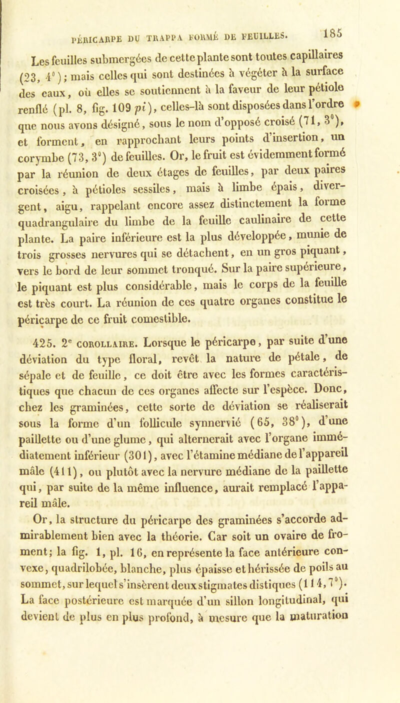 l’jiWCAlU'E DU TRAPPA POUMÉ DE EEUILLES. Les feuilles submergées de cette plante sont toutes capillaires (23, ■i ) ; niais celles qui sont destinées à végéter à la surface des eaux, où elles se soutiennent ù la faveur de leur pétiole renflé (pl. 8, fig. 109 fi), celles-lh sont disposées dans l’ordre que nous avons désigné, sous le nom d opposé croisé (71, 3 ), et forment, en rapprochant leurs points d’insertion, un cor)-mbe (73, 3“) de feuilles. Or, le fruit est évidemment formé par la réunion de deux étages de feuilles, par deux paires croisées , à pétioles sessiles, mais à limbe épais, diver- gent , aigu, rappelant encore assez distinctement la foi me quadrangulaire du limbe de la feuille caulinaire de cette plante. La paire inférieure est la plus développée, munie de trois grosses nervures qui se détachent, en un gros piquant, vers le bord de leur sommet tronqué. Sur la paire supérieure, le piquant est plus considérable, mais le corps de la feuille est très court. La réunion de ces quatre organes constitue le péricarpe de ce fruit comestible. 425. 2® COROLLAIRE. Lorsque le péricarpe, par suite dune déviation du type floral, revêt la nature de pétale, de sépale et de feuille, ce doit être avec les formes caractéris- tiques que chacun de ces organes afiecte sur l’espèce. Donc, chez les graminées, cette sorte de déviation se réaliserait sous la forme d’un foUicule synneniié (65, 38°), d’une paillette ou d’une glumo, qui alternerait avec l’organe immé- diatement inférieur (301), avec l’étamine médiane de l’appareil mâle (411), ou plutôt avec la nervure médiane de la paillette qui, par suite de la même influence, aurait remplacé l’appa- reil mâle. Or, la structure du péricarpe des graminées s’accorde ad- mirablement bien avec la théorie. Car soit un ovaire de fro- ment; la fig. 1, pl. 16, en représente la face antérieure con- vexe, quadrilobée, blanche, plus épaisse et hérissée de poils au sommet, sur lequel s’insèrent deux stigmates distiques (114,7°). La face postérieure est marquée d’un sillon longitudinal, qui devient de plus en plus profond, à mesure que la maturation
