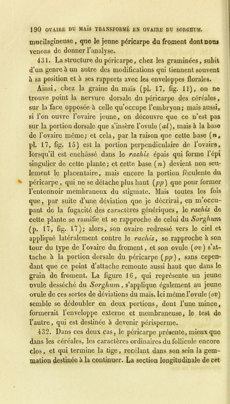 mucilagineuse, que le jeune péricarpe du froment dont nous venons de donner l’analyse. 431. La structure du péricarpe, chez les graminées, subit d’un genre à un autre des modifications qui tiennent souvent h sa position et h ses rapports avec les enveloppes florales. Ainsi, chez la graine du maïs (pl. 17, fîg. 11), on ne trouve point la nervure dorsale du péricarpe des céréales, sm- la face opposée à celle qu’occupe l’embryon; mais aussi, si l’on ouvre l’ovaire jeune, on découvre que ce n’est pas sur la portion dorsale que s’insère l’ovule {al), mais à la base de l’ovaire même; et cela, par la raison que cette base (n, pl. 17, fig. 15) est la portion perpendiculaire de l’ovaire, lorsqu’il est enchâssé dans le rachis épais qui forme l’épi singulier de cette plante ; et cette base ( n ) devient non seu- lement le placentaire, mais encore la portion féculente du péricarpe, qui ne se détache plus haut {pp) que pour former l’entonnoir membraneux du stigmate. Mais toutes les fois que, par suite d’une déviation que je décrirai, en m’occu- pant de la fugacité des caractères génériques, le rachis de cette plante se ramifie et se rapproche de celui du Sorghum (p. 17, fig. 17); alors, son ovaire redressé vers le ciel et appliqué latéralement contre le rachis, se rapproche à son tour du type de l’ovaire du froment, et son ovule ( ou ) s’at- tache à la portion dorsale du péricarpe {pp), sans cepen- dant que ce point d’attache remonte aussi haut que dans le grain de froment. La figure 16, qui représente un jeune ovule desséché du Sorghum, s’applique également au jeune ovule de ces sortes de déviations du maïs. Ici môme l’ovule (ou) semble se dédoubler en deux portions, dont l’une mince, formerait l’enveloppe externe et membraneuse, le test de l’autre, qui est destinée à devenir périsperrae. 432. Dans ces deux cas, le péricarpe présente, mieux que dans les céréales, les caractères ordinaires du follicule encore clos, et qui termine la tige, recelant dans son sein la gem- mation destinée â la continuer. La section longitudinale de cet