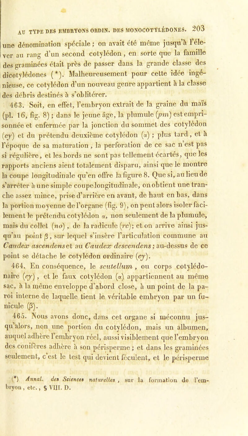 une dénomination spéciale ; on avait été même jusqu’à l’éle- ver au rang d’un second cotylédon, en sorte que la famille des graminées était près de passer dans la grande classe des dicotylédones (*). Malheureusement povir cette idée ingé- nieuse, ce cotylédon d’un nouveau genre appartient h la classe des débris destinés à s’oblitérer. 463. Soit, en effet, l’embryon extrait de la graine du maïs (pl. 16, fig. 8) ; dans le jeune âge, la plumule {pm) est empri- sonnée et enfermée par la jonction du sommet des cotylédon (qy) et du prétendu deuxième cotylédon (a) ; plus tard, et h l’époque de sa maturation , la perforation de ce sac n’est pas si régulière, et les bords ne sont pas tellement écartés, que les rapports anciens aient totalement disparu, ainsi que le montre la coupe longitudinale qu’en offre la figure 8. Que si, au lieu de s’arrêter à une simple coupe longitudinale, on obtient une tran- che assez mince, pi'ise d’arrière en avant, de haut en bas, dans la portion moyenne de l’organe (fig. 9), on peut alors isoler faci- lement le prétendu cotylédon «, non seulement de la plumule, mais du collet (no), de la radicule (rc); et on arrive ainsi jus- qu’au point j3, sur lequel s’insère l’articulation commune au Caudex ascendensGt au Caudex descendens; au-dessus de ce point se détache le cotylédon ordinaire (cj). 464. En conséquence, le scutellum , ou corps cotylédo- naire (cy), et le faux cotylédon (a) appartiennent au même sac, à la même enveloppe d’abord close, h un point de la pa- roi interne de laquelle tient le véritable embryon par un fu- nicule (|3). 465. Nous avons donc, dans cet organe si méconnu jus- qu’alors, non une portion du cotylédon, mais un albumen, auquel adhère l’embryon réel, aussi visiblement que l’embryon des conifères adhère U son périsperme ; et dans les graminées seulement, c’est le test qui devient féculent, et le périsperme (*) Annal, de» Sciences naturelles , sur la fonnatiou do l’em- tiryon , etc., § VIII. D.