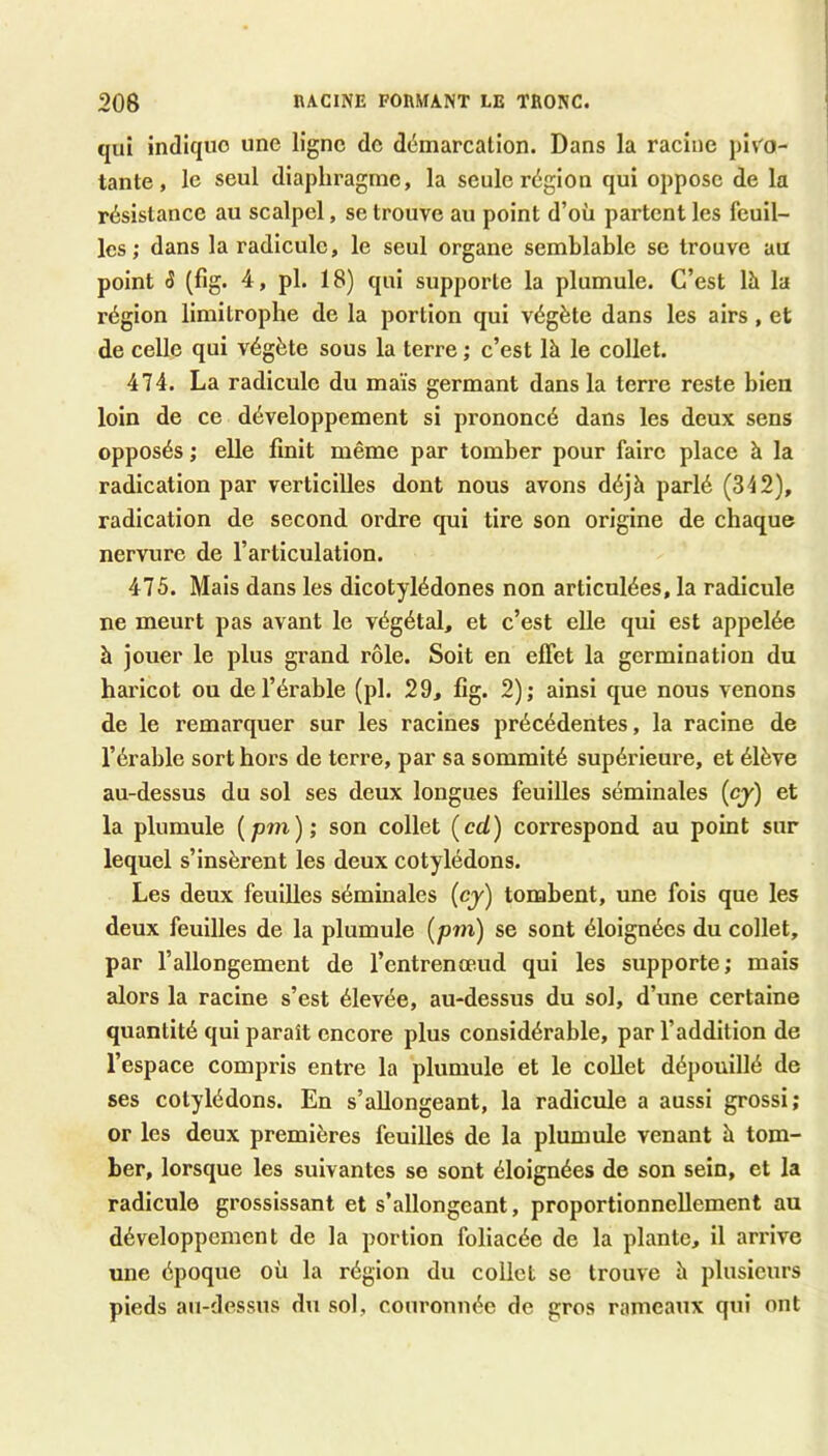 nACINE FORMANT LE TRONC. 206 qui indique une ligne de démarcation. Dans la racine pivo- tante, le seul diaphragme, la seule région qui oppose de la résistance au scalpel, se trouve au point d’où partent les feuil- les ; dans la radicule, le seul organe semblable se trouve au point S (fig. 4, pl. 18) qui supporte la plumule. C’est là la région limitrophe de la portion qui végète dans les airs , et de celle qui végète sous la terre ; c’est là le collet. 474. La radicule du maïs germant dans la terre reste bien loin de ce développement si prononcé dans les deux sens opposés ; elle finit même par tomber pour faire place à la radication par verticilles dont nous avons déjà parlé (342), radication de second ordre qui tire son origine de chaque nervure de l’articulation. 475. Mais dans les dicotylédones non articulées, la radicule ne meurt pas avant le végétal, et c’est elle qui est appelée à jouer le plus grand rôle. Soit en effet la germination du haricot ou de l’érable (pl. 29, fig. 2); ainsi que nous venons de le remarquer sur les racines précédentes, la racine de l’érable sort hors de terre, par sa sommité supérieure, et élève au-dessus du sol ses deux longues feuilles séminales (cy) et la plumule (pm); son collet {cd) correspond au point sur lequel s’insèrent les deux cotylédons. Les deux feuilles séminales (cy) tombent, une fois que les deux feuilles de la plumule (pm) se sont éloignées du collet, par l’allongement de l’entrenœud qui les supporte; mais alors la racine s’est élevée, au-dessus du sol, d’une certaine quantité qui paraît encore plus considérable, par l’addition de l’espace compris entre la plumule et le collet dépouillé de ses cotylédons. En s’allongeant, la radicule a aussi grossi; or les deux premières feuilles de la plumule venant à tom- ber, lorsque les suivantes se sont éloignées de son sein, et la radicule grossissant et s’allongeant, proportionnellement au développement de la portion foliacée de la plante, il arrive une époque où la région du collet se trouve à plusieurs pieds au-dessus du sol, couronnée de gros rameaux qui ont