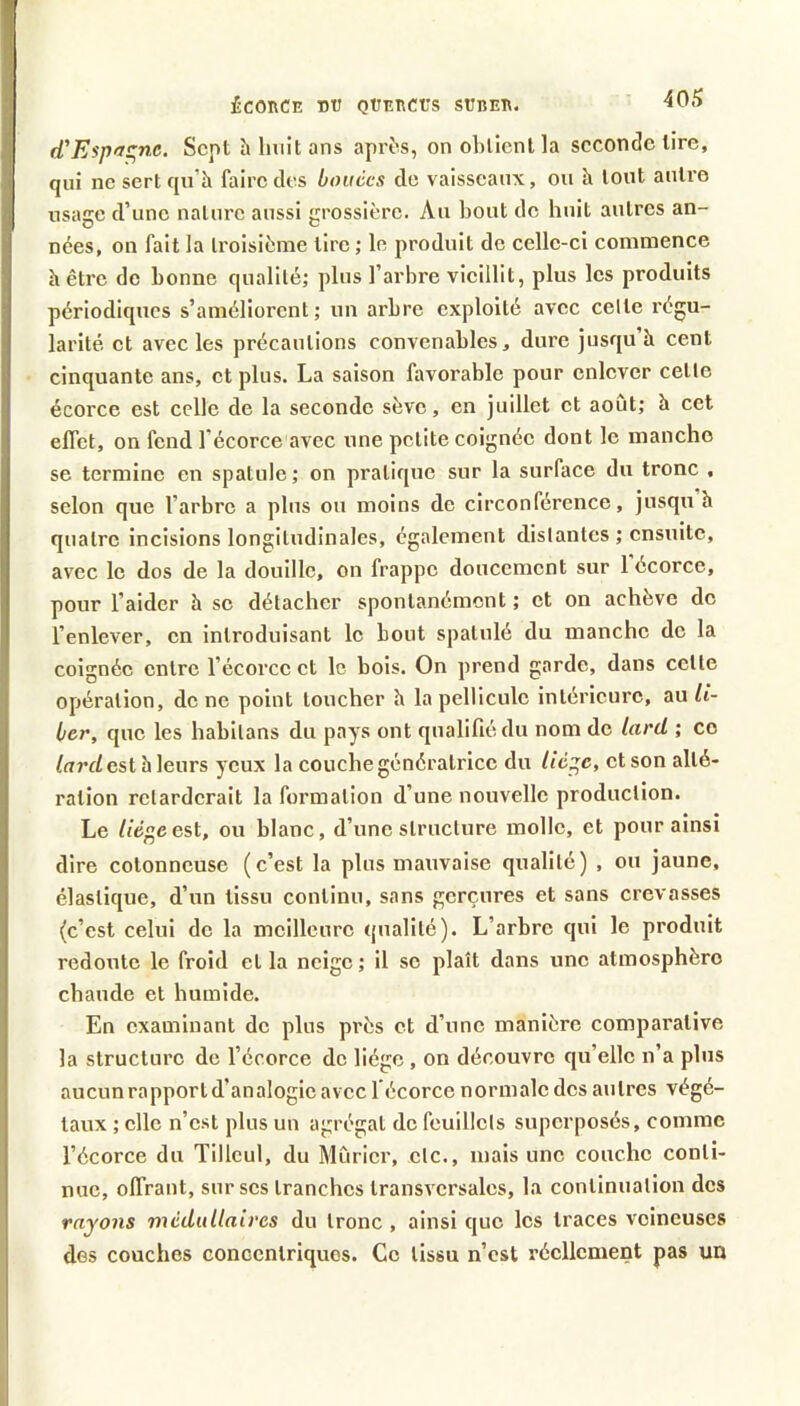 ÉCORCE DR QÜERCUS SUBER. d'Espas,nc. Sept h huit ans après, on obtient la seconde tire, qui ne sert qu’à faire des bouées do vaisseaux, ou h tout autre usage d’une nature aussi grossière. Au bout de huit autres an- nées, on fait la troisième tire ; le produit de celle-ci commence h être de bonne qualité; plus l’arbre vieillit, plus les produits périodiques s’améliorent; un arbre exploité avec celte régu- larité et avec les précautions convenables, dure jusqu h cent cinquante ans, et plus. La saison favorable pour enlever cette écorce est celle de la seconde sève, en juillet et août; h cet effet, on fend l’écorce avec une petite coignéc dont le manche se termine en spatule; on pratique sur la surface du tronc , selon que l’arbre a plus ou moins de circonférence, jusqu h quatre incisions longitudinales, également distantes ; ensuite, avec le dos de la douille, on frappe doucement sur 1 écorce, pour l’aider à se détacher spontanément ; et on achève de l’enlever, en introduisant le bout spatulé du manche de la coignéc entre l’écorce et le bois. On prend garde, dans celte opération, donc point toucher h la pellicule intérieure, au li- ber, que les habitans du pays ont qualifié du nom de lard ; co /urt/est à leurs yeux la couche génératrice du lié^c, et son alté- ration retarderait la formation d’une nouvelle production. Le //dgeest, ou blanc, d’une structure molle, et pour ainsi dire cotonneuse (c’est la plus mauvaise qualité) , ou jaune, élastique, d’un tissu continu, sans gerçures et sans crevasses (c’est celui de la meilleure qualité). L’arbre qui le produit redoute le froid et la neige; il se plaît dans une atmosphère chaude et humide. En examinant de plus près et d’une manière comparative la structure de l’écorce de liège , on découvre qu’elle n’a plus aucunrapportd’analogic avec l’écorce normale des autres végé- taux ; elle n’est plus un agrégat de fcuillcls superposés, comme l’écorce du Tilleul, du Mûrier, etc., mais une couche conti- nue, offrant, sur scs tranches transversales, la continuation des rayons médullaires du tronc , ainsi que les traces veineuses des couches concentriques. Ce tissu n’est réellement pas un