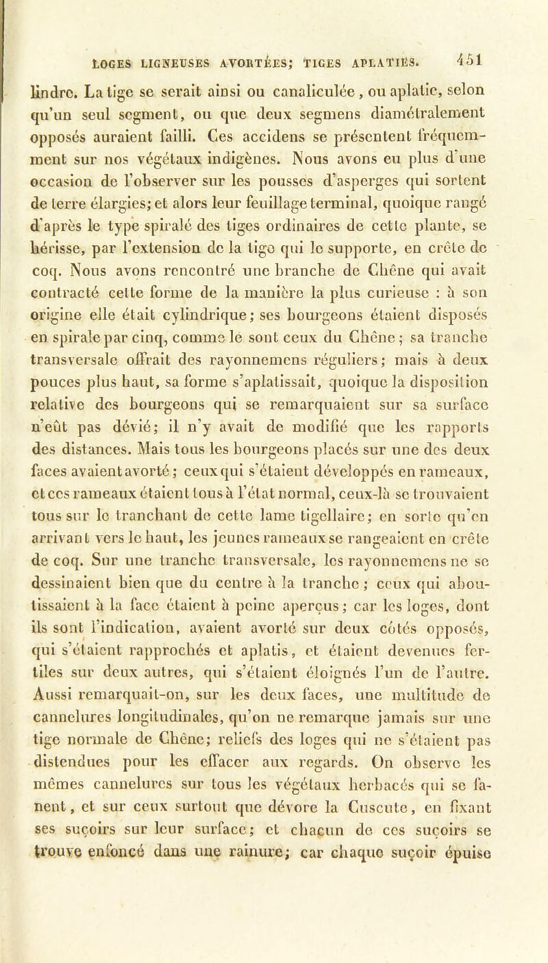 lindrc. La lige se serait ainsi ou canaliculée, ou aplatie, selon qu’un seul segment, ou que deux segmens diamétralement opposés auraient failli. Ces accidens se présentent fréquem- ment sur nos végétaux indigènes. Nous avons eu plus d’une occasion de l’observer sur les pousses d’asperges qui sortent de terre élargies; et alors leur feuillage terminal, quoique rangé d'après le type spiralé des tiges ordinaires de cette plante, se hérisse, par l’extension de la tigo qui le supporte, en crête de coq. Nous avons rencontré une branche de Chêne qui avait conti’acté celte forme de la manière la plus curieuse : h son origine elle était cylindrique; ses bourgeons étaient disposés en spirale par cinq, comme le sont ceux du Chêne; sa tranche transversale olfrait des rayonnemens réguliers ; mais h deux pouces plus haut, sa forme s’aplatissait, quoique la disposition relative des bourgeons qui se remarquaient sur sa surface n’eût pas dévié; il n’y avait de modifié que les rapports des distances. Mais tous les bourgeons placés sur une des deux faces avaient avorté; ceux qui s’étaient développés en rameaux, et ces rameaux étaient tous à l’état normal, ceux-lii se trouvaient tous sur le tranchant de cette lame tigellaire; en sorte qu’en arrivant vers le haut, les jeunes rameaux se rangeaient en crête de coq. Sur une tranche transversale, les rayonnemens ne se dessinaient bien que du centre h la tranche; ceux qui abou- tissaient h la face étaient h peine aperçus; car les loges, dont ils sont l’indication, avaient avorté sur deux cotés opposés, qui s’élaient rapprochés et aplatis, et étaient devenues fer- tiles sur deux autres, qui s’élaient éloignés l’un de l’autre. Aussi remarquait-on, sur les deux faces, une multitude de cannelures longitudinales, qu’on ne remarque jamais sur une tige normale de Chêne; reliefs des loges qui ne s’élaient pas distendues pour les effacer aux regards. On observe les mêmes cannelures sur tous les végétaux herbacés qui se fa- nent, et sur ceux surtout que dévore la Cuscute, en fixant ses suçoirs sur leur surface ; et chacun de ces suçoirs se trouve enfoncé dans une rainure; car chaque suçoir épuiso