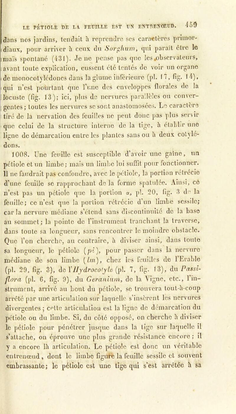 LE PÉTIOLE DE L/V FEUILLE EST UN ENTEENOEUD. ^50 clans nos jardins, tendait h reprendre ses caraetères primor- diaux, pour arriver h ceux du Sor<iliuw, qui paraît cire le imaïs spontané (431). Je ne pense pas que les .observateurs, : avant toute explication, eussent été tentés de voir un organe I de monocotylédoncs dans la glume itiférieure (pl. I 7, fig. 14), I qui n’est pourtant que l’nnc des enveloppes florales de la locuste (fig. 13); ici, plus de nervures parallèles ou conver- : génies; toutes les nervures se sont anastomosées. Le caractère tiré de la nervation des feuilles ne peut donc pas plus servir que celui de la structure interne de la tige, à étabbr une ligne de démarcation entre les plantes sans ou h deux cotylé- dons. 1008. Une feuille est susceptible d’avoir une gaîne, un pétiole et un limbe; mais un limbe lui suffit pour fonctionner. 11 ne faudrait pas confondre, avec le pétiole, la portion rétrécie d’une feuille se rapprochant do la forme spatulée. Ainsi, cO n’est pas un pétiole que la portion a, pl. 20, fig. 3 de la feuille; ce n’est que la portion rétrécie d un limbe scssilc; caria nervure médiane s’étend sans discontinuité de la base au sommet; la pointe de l’instrument tranchant la traverse, dans toute sa longueur, sans rencontrer le moindre obstacle. Que l’on cherche, au contraire, à diviser ainsi, dans toute sa longueur, le pétiole (/li), pour passer dans la nervure médiane de sou limbe (/m), chez les feuilles de l’Erable (pl. 29, fig. 3), de Vlljdrocofjlô [p]. 7, fig. 13), du Passi- jlora (pl. G, fig. 9), du Géranium, de la Vigne, etc., l’in- strument, arrivé au bout du pétiole, se trouvera tout-h-coup arreté par une articulation sur laquelle s’insèrent les nervures divergentes ; cette articulation est la ligne de démarcation du pétiole ou du limbe. Si, du côté opposé, on cherche h diviser le pétiole pour pénétrer jusiiuo dans la tige sur laquelle il s’attache, on éprouve une plus grande résistance encore ; il y a encore Ih articulation. Le pétiole est donc un véritable entrenœud , dont le limbe figuf4î la feuille sessile et souvent embrassante ; le pétiole est une tige qui s’est arrêtée h sa