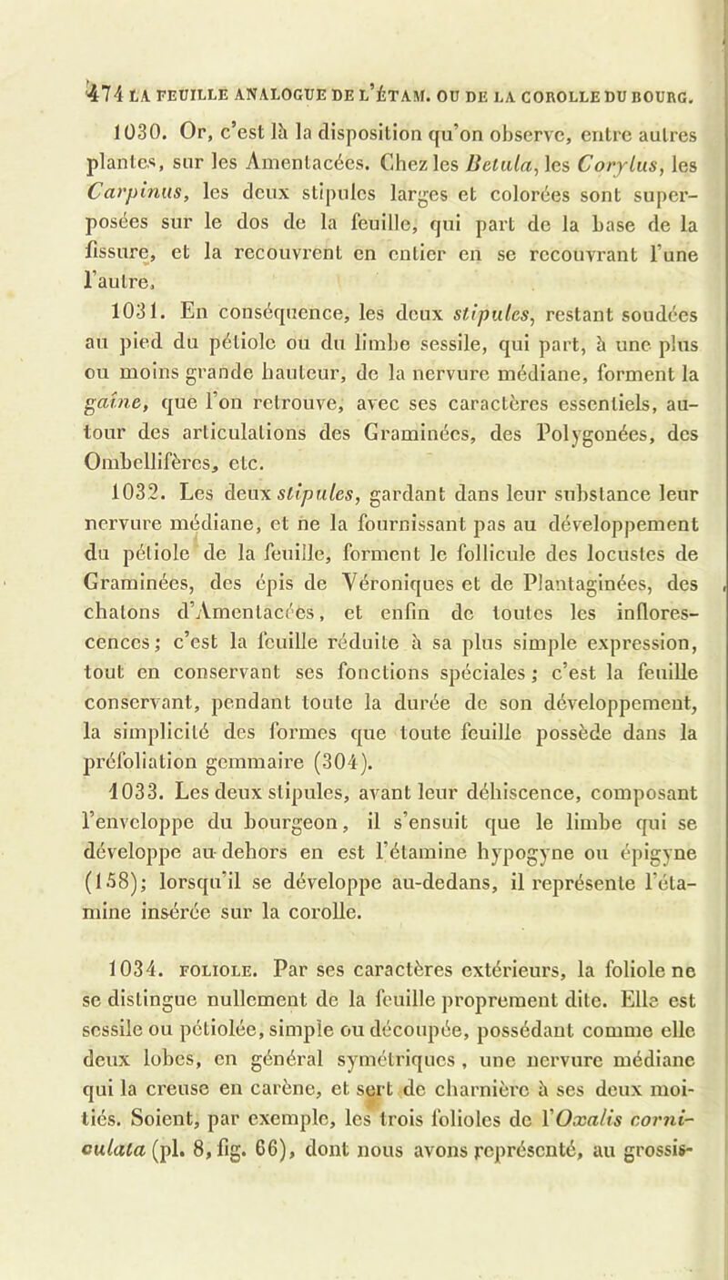 ^74 LA FEUILLE ANALOGUE DE l’ÉTAM. OU DE LA COROLLE DU BOURG. 1Ü30. Or, c’est Ih la disposition qu’on observe, entre autres plantes, sur les Amenlacées. Chez les Betida, les Corylus, les Carpinus, les deux stipules larges et colorbes sont super- posées sur le dos de la feuille, qui part de la base de la fissure, et la recouvrent en entier en se recouvrant l’une raulre, 1031. En conséquence, les deux stipules^ restant soudées au pied du pétiole ou du limbe sessile, qui part, à une plus ou moins grande hauteur, de la nervure médiane, forment la gaine, que l’on retrouve, avec ses caractères essentiels, au- tour des articulations des Graminées, des Polygonées, des Onibellifèrcs, etc. 1032. Les àGwa stipules, gardant dans leur substance leur nervure médiane, et ne la fournissant pas au développement du pétiole de la feuille, forment le follicule des locustes de Graminées, des épis de Véroniques et de Plantaginées, des chatons d’Amentacées, et enfin de toutes les infiores- cenccs ; c’est la feuille réduite h sa plus simple expression, tout en conservant ses fonctions spéciales ; c’est la feuille conservant, pendant toute la durée de son développement, la simplicité des foi’mes que toute feuille possède dans la préfoliation gemmaire (304). 4033. Les deux stipules, avant leur déhiscence, composant l’enveloppe du bourgeon, il s’ensuit que le limbe qui se développe au dehors en est l’étamine hypogyne ou épigyne (158); lorsqu’il se développe au-dedans, il représente l’éta- mine insérée sur la corolle. 1034. FOLIOLE. Par ses caractères extérieurs, la foliole ne se distingue nullement de la fouille proprement dite. Elle est sessile ou pétiolée, simple ou découpée, possédant comme elle deux lobes, en général symétriques , une nervure médiane qui la creuse en carène, et sert de charnière à ses deux moi- tiés. Soient, par exemple, les trois folioles de VOxalis corni- (pl. 8,fig. 66), dont nous avons représenté, au grossis-