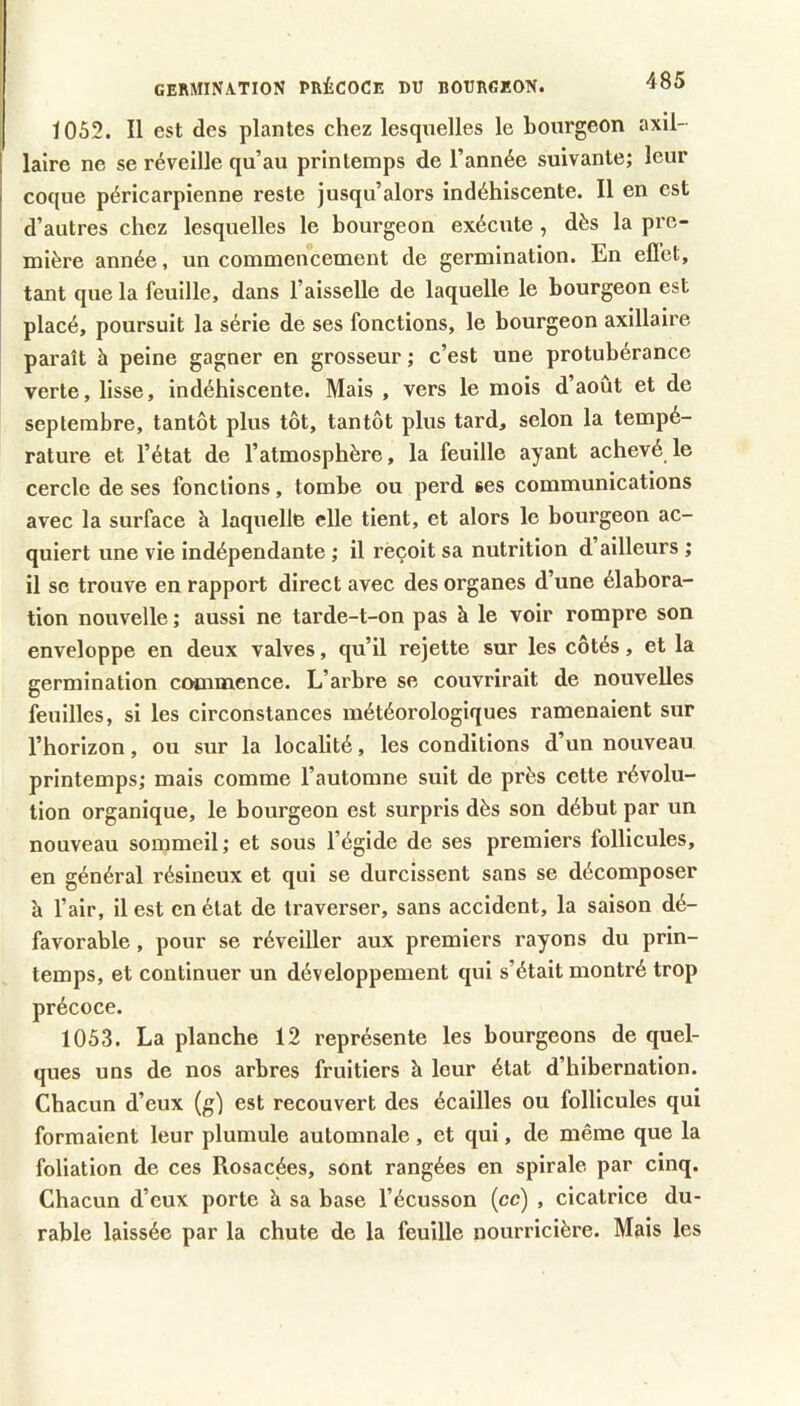 germination précoce du bourgeon. Ï052. Il est des plantes chez lesquelles le bourgeon axil- laire ne se réveille qu’au printemps de l’année suivante; leur coque péricarpienne reste jusqu’alors indéhiscente. Il en est d’autres chez lesquelles le bourgeon exécute, dès la pre- mière année, un commencement de germination. En ell'ct, tant que la feuille, dans l’aisselle de laquelle le bourgeon est placé, poursuit la série de ses fonctions, le bourgeon axillaire paraît à peine gagner en grosseur ; c’est une protubérance verte, lisse, indéhiscente. Mais , vers le mois d’août et de septembre, tantôt plus tôt, tantôt plus tard, selon la tempé- rature et l’état de l’atmosphère, la feuille ayant achevé le cercle de ses fonctions, tombe ou perd ses communications avec la surface h laquelle elle tient, et alors le bourgeon ac- quiert une vie indépendante ; il réçoit sa nutrition d ailleurs ; il se trouve en rapport direct avec des organes d’une élabora- tion nouvelle ; aussi ne tarde-t-on pas à le voir rompre son enveloppe en deux valves, qu’il rejette sur les côtés, et la germination commence. L’arbre se couvrirait de nouvelles feuilles, si les circonstances météorologiques ramenaient sur l’horizon, ou sur la localité, les conditions d’un nouveau printemps; mais comme l’automne suit de près cette révolu- tion organique, le bourgeon est surpris dès son début par un nouveau sommeil; et sous l’égide de ses premiers follicules, en général résineux et qui se durcissent sans se décomposer à l’air, il est en état de traverser, sans accident, la saison dé- favorable , pour se réveiller aux premiers rayons du prin- temps, et continuer un développement qui s’était montré trop précoce. 1053. La planche 12 représente les bourgeons de quel- ques uns de nos arbres fruitiers à leur état d’hibernation. Chacun d’eux (g) est recouvert des écailles ou follicules qui formaient leur plumule automnale, et qui, de même que la foliation de ces Rosacées, sont rangées en spirale par cinq. Chacun d’eux porte à sa base l’écusson (ce) , cicatrice du- rable laissée par la chute de la feuille nourricière. Mais les