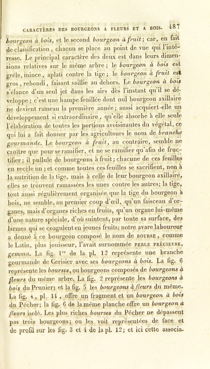 bourgeon à bois, et le second bourgeo7i à fruit; car, en fait de classification , chacun se place au point de vue qui l’inté- resse. Le principal caractère des deux est dans leurs dimen- sions relatives sur le même arbre ; le bourgeon à bois est grêle, mince , aplati contre la tige ; le bourgeon à fruit est gros , rebondi, faisant saillie au dehors. Le bourgeon à bois s’élance d’un seul jet dans les airs dès l’instant qu’il se dé- veloppe ; c’est une hampe feuillée dont nul bourgeon axillaire ne devient rameau la première année ; aussi acquiert-elle un développement si extraordinaire , qu’elle absorbe à elle seule l’élaboration de toutes les portions avoisinantes du végétal, ce qui lui a fait donner par les agriculteurs le nom de branche gourinande. Le bou7'geon a fruit, au contraire, semble ne Cloître que pour se ramifier, et ne se ramifier qu afin de fruc- tifier ; il pullule de bourgeons à fruit ; chacune de ces feuilles çn recèle un ; et comme toutes ces feuilles se sacrifient, non à la nutrition de la tige, mais h celle de leur bourgeon axillaire, elles se trouvent ramassées les unes contre les autres; la tige, tout aussi régulièrement organisée que la tige du bourgeon h bois, ne semble, au premier coup d’œil, qu’un faisceau d or- ganes, mais d’organes riches en fruits, qu’un organe lui-même d’une nature spéciale, d’où suintent, par toute sa surface, des larmes qui se coagulent en jeunes fruits; notre avare laboureur a donné à ce bourgeon composé le nom de bourse , comme le Latin, plus jouisseur, l’avait surnommée perle précieuse, gemma. La fig. 1 de la pl. 12 représente une branche gourmande de Cerisier avec ses bourgeons à bois. La fig. 6 représente les bourses, ou bourgeons composés de bourgeons à fleurs du même arbre. La fig. 2 représente les bourgeons à bois du Prunier; et la fig. 5 les bourgeons à fleurs du même. La fig. 4, pl. 11 , offre un fragment et xm bourgeon à bois du Pêcher; la fig. 6 de ia même planche offre un bourgeon à fleurs isolé. Les plus riches bourses du Pêcher ne dépassent pas trois bourgeons; on les voit représentées de face et de profil sur les fig. 3 et 4 de îapl. 12; et ici cette associa-