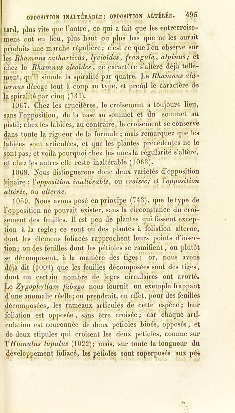 tard, plus vite que l’autre, ce qui a fait que les entrecroise- mens ont eu lieu, plus haut ou plus bas que ne les aurait produits une marche régulière ; c’est ce que l’on observe sur les Bhamnus catliarlicàs, lycioïdes, frangulq, atpinus ; et chez le Rliamnus oleoîdes, ce caractère s’altère déjà telle- ment, qu’il simule la spiralité par quatre. Le Rliamnus ala^ ternus déroge tout-à-coup au type, et prend le caractère de la spiralité par cinq (739). 1067. Chez les crucifères, le croisement a toujours lieu, sans l’opposition, de la hase au sommet et du sommet au pistil; chez les labiées, au contraire, le cx’oisement se conserve dans toute la rigueur de la formule; mais remarquez que les labiées sont articulées, et que les plantes précédentes ne le sont pas ; et voilà pourquoi chez les unes la régularité s’altèi’e, et chez les autres elle reste Inaltérable (1063). 1068. Nous distinguerons donc deux variétés d’opposition binaire : Vopposition inaltérable, ou croisée; et 1 opposition altérée, ou alterne. 10G9. Nous avons posé en principe (743), que le type de l’opposition ne pouvait exister, sans la circonstance du croi- sement des feuilles. Il est peu de plantes qui fassent excep- tion à la règle; ce sont ou des plantes à foliation alterne, dont les élémens foliacés rapprochent leurs points d’inser- tion ; ou des feuilles dont les pétioles se ramifient, ou plutôt se décomposent, à la manière des tiges ; or, nous avons déjà dit (1009) que les feuilles décomposées sont des tiges, dont un certain nombre de loges circulaires ont avorté. Le Zygophyllum fabago nous fournit un exemple frappant d’une anomalie réelle; on prendrait, en elTet, pour des feuilles décomposées, les rameaux articulés de cette espèce; leur foliation est opposée, sans être croisée ; car chaque arti- culation est couronnée de deux pétioles binés, opposés, et de deux stipules qui croisent les deux pétioles, comme sur Vllumulus lupulus (1022); mais, sur toute la longueur du développement foliacé, les pétioles sont superposés aux péf