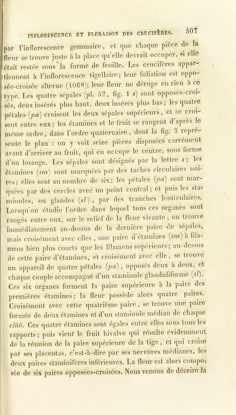 I IPÎFLOMSCENCE et floeaison des CRECIFÎEES. 50T Ipar l’inflorescence gemraaire, et que chaque pièce de la fleur se trouve juste h la place quelle devrait occuper, si elle était restée sous la forme de feuille. Les crucifères appar- I tiennent h l’inflorescence tigellaire; leur foliation est oppo- sée-croisée alterne (1068); leur fleur ne déroge en rien hcc itype. Les quatre sépales (pl. 52, fig. 1 s) sont opposés-croi- sés, deux insérés plus haut, deux insérés plus has; les quatre pétales (pa) croisent les deux sépales supérieurs, et se croi- sent entre eux; les étamines et le fruit se rangent d api'ès le même ordre, dans l’ordre quaternaire, dont la fig. 3 repré sente le plan : on y voit seize pièces disposées carrément avant d’arriver au fruit, qui en occupe le centre, sous forme d’un losange. Les sépales sont désignés par la lettre s, les étamines {sm) sont marquées par des taches circulaires noi- res; elles sont au nombre de six; les pétales {pa) sont mar- quées par des cercles avec un point central ; et puis les sta- minules, ou glandes {si), par des tranches lenticulaires. Lorsqu'on étudie l’ordre dans lequel tous ces organes sont rangés entre eux, sur le relief de la fleur vivante , on trouve immédiatement au-dessus de la dernière paire de sépales, mais croisément avec elles , une paire d’étamines (sm) h fila- mens bien plus courts que les filamens supérieurs; au-dessus de cette paire d’étamines, et croisément avec elle, se trouve un appareil de quatre pétales (pa), opposés deux h deux, et chaque couple accompagné d’un staminule glanduliforme {si). Ces six organes forment la paire supérieure h la paire des premières étamines; la fleur possède alors quatre paires. Croisément avec cette quatrièiue paire, se trouve une paire formée de deux étamines et d’un staminule médian de chaque côté. Ces quatre étamines sont égales entre elles sous tous les rapports ; puis vient le fruit bivalve qui résulte evidemmeut, de la réunion de la paire supérieure de la tige, et qui croise par ses placentas, c’est-h-dire par ses nervures médianes, les deux paires staminifères inférieures. La fleur est alors coinpo^ sée de six paires opposées-croisées. Nous venons de décrire la