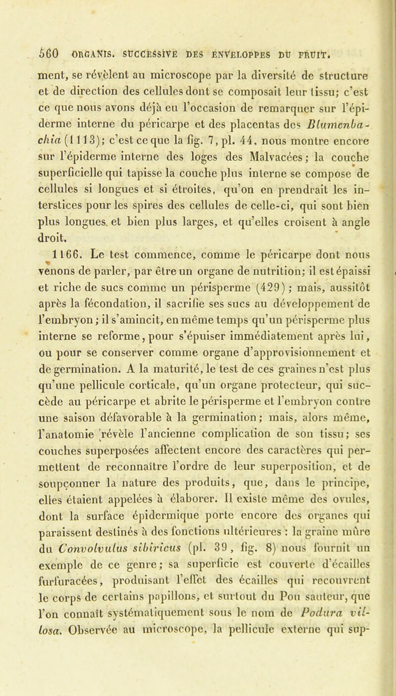 i)60 ORtîANIS. SÜCCÈSSiVË DES ENVELOPPES DU FRUlTé ment, se révèlent au microscope par la diversité de structure et de direction des cellules dont se composait leur tissu; c’est ce que nous avons déjheu l’occasion de remarquer sur l’épi- derme interne du péricarpe et des placentas des Blumenba^ chia (1113); c’est ce que la lîg. 7, pl. 44, nous montre encore sur l’épiderme interne des loges des Malvacées ; la couche superficielle qui tapisse la couche plus interne se compose de cellules si longues et si étroites, qu’on en prendrait les in- terstices pour les spires des cellules de celle-ci, qui sont hién plus longues, et bien plus larges, et qu’elles croisent à angle droit. 1166. Le test commence, comme le péricarpe dont nous venons de parler, par être un organe de nutrition; il est épaissi et riche de sucs comme un périsperme (429) ; mais, aussitôt après la fécondation, il sacrifie ses sucs au développement de l’embryon ; il s’amincit, en même temps qu’un périsperme plus interne se reforme, pour s’épuiser immédiatement après lui, ou pour se conserver comme organe d’approvisionnement et de germination. A la maturité, le test de ces graines n’est plus qu’une pellicule corticale, qu’un organe protecteur, qui suc- cède au péricarpe et abrite le périsperme et l’embryon contre une saison défavorable à la germination; mais, alors même, l’anatomie 'révèle l’ancienne complication de son tissu; ses couches superposées affectent encore des caractères qui per- mettent de reconnaître l’ordre de leur superposition, et de soupçonner la nature des produits, que, dans le principe, elles étaient appelées îi élaborer. 11 existe même des ovules, dont la surface épidermique porte encore des organes qui paraissent destinés h des fonctions ultérieures : la graine mûre du Convolvulus sUnricus (pl. 39, fig. 8) nous fournit un exemple de ce genre ; sa superficie est couverte d’écailles furfuracées, pi’oduisant l’elfet des écailles qui recouvrent le corps de certains papillons, et surtout du Pou sauteur, que l’on connaît systématiquement sous le nom de Podara vil- losa. Observée au microscope, la pellicule externe qui sup-