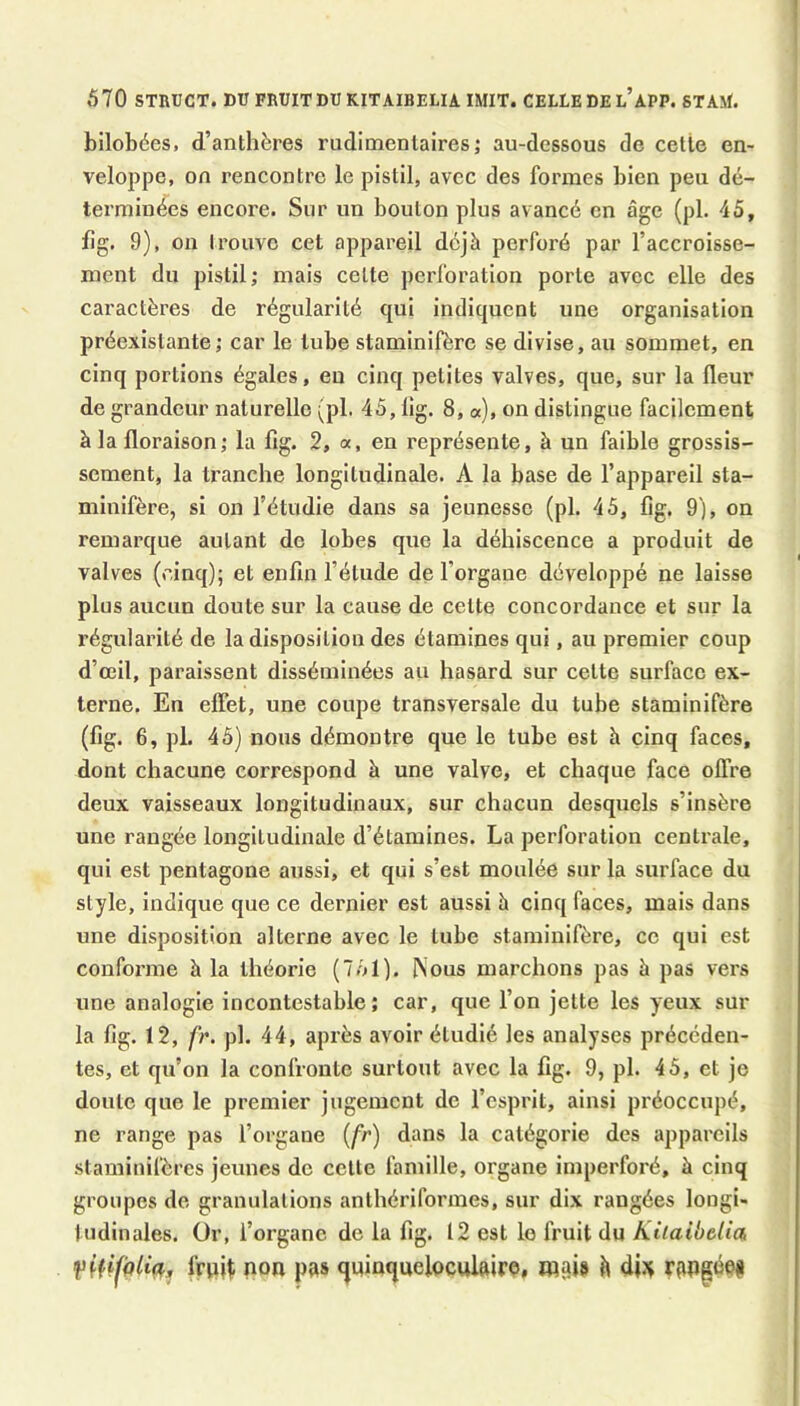 670 STRVCT. DTJ FRUIT DU KITAIBELIAIMIT. CELLE DE l’aPP. STAM. { bilobées, d’anthères rudimentaires,• au-dessous de celle en- veloppe, on rencontre le pistil, avec des formes bien peu dé- terminées encore. Sur un boulon plus avancé en âge (pl. 45, fig. 9), on trouve cet appareil déjà perforé par l’accroisse- ment du pistil; mais cette perforation porte avec elle des caractères de régularité qui indiquent une organisation préexistante; car le tube staminifère se divise, au sommet, en cinq portions égales, eu cinq petites valves, que, sur la fleur de grandeur naturelle (pl. 45, lig. 8, «), on distingue facilement à la floraison ; la fig. 2, a, en représente, à un faible grossis- sement, la tranche longitudinale. A la base de l’appareil sta- minifère, si on l’étudie dans sa jeunesse (pl. 45, fig. 9), on remarque autant de lobes que la déhiscence a produit de valves (cinq); et enfin l’étude de l’organe développé ne laisse plus aucun doute sur la cause de celte concordance et sur la régularité de la disposition des étamines qui, au premier coup d’œil, paraissent disséminées au hasard sur cette surface ex- terne. En effet, une coupe transversale du tube staminifère (fig. 6, pl. 45) nous démontre que le tube est h cinq faces, dont chacune correspond à une valve, et chaque face offre deux vaisseaux longitudinaux, sur chacun desquels s’insère une rangée longitudinale d’étamines. La perforation centrale, qui est pentagone aussi, et qui s’est moulée sur la surface du style, Indique que ce dernier est aussi à cinq faces, mais dans une disposition alterne avec le tube staminifère, ce qui est conforme à la théorie (751). Nous marchons pas à pas vers une analogie incontestable; car, que l’on jette les yeux sur la fig. 12, fi\ pl. 44, après avoir étudié les analyses précéden- tes, et qu’on la confronte surtout avec la fig. 9, pl. 45, et je doute que le premier jugement de l’esprit, ainsi préoccupé, ne range pas l’organe (/r) dans la catégorie des appareils staminifères jeunes de celte famille, organe imperforé, à cinq groupes de granulations anthériforraes, sur dix rangées longi- tudinales. Or, l’organe de la fig. 12 est le fruit du Kiiaibelia fruit non pas qninqueloculairo, mais it di^t