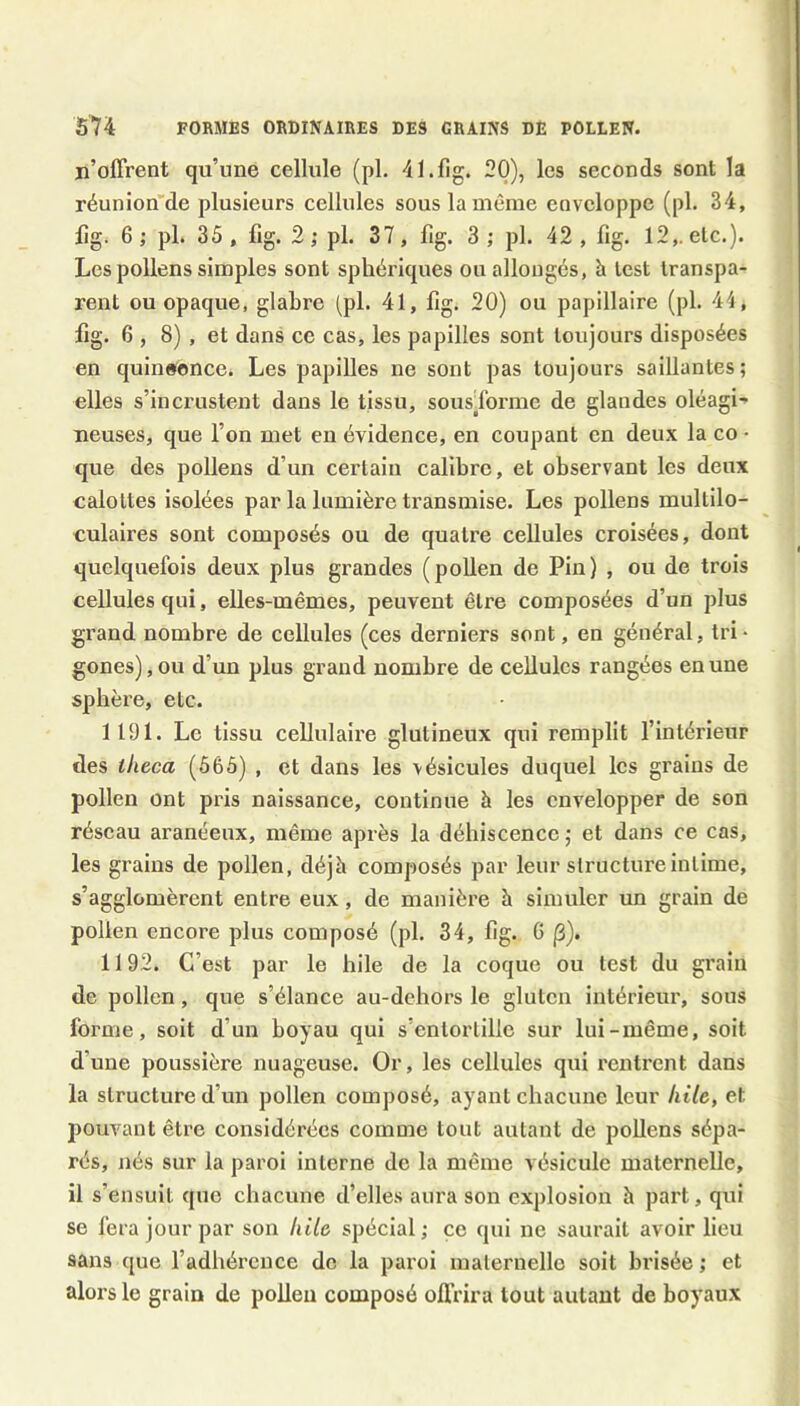 n’offrent qu’une cellule (pl, 20), les seconds sont la réunion’de plusieurs cellules sous la même enveloppe (pl. 34, lig. 6 ; pl. 35 , fig. 2 ; pl. 37, fig. 3 ; pl. 42 , fig. 12,. etc.). Les pollens simples sont sphériques ou allongés, à lest transpa- rent ou opaque, glabre (pl. 41, fig. 20) ou papillaire (pl. 44, fig. 6 , 8) , et dans ce cas, les papilles sont toujours disposées en quinsonce. Les papilles ne sont pas toujours saillantes; elles s’incrustent dans le tissu, sousTorme de glandes oléagi-» neuses, que l’on met eu évidence, en coupant en deux la co • que des pollens d’un certain calibre, et observant les deux calottes isolées par la lumière transmise. Les pollens multilo- culaires sont composés ou de quatre cellules croisées, dont quelquefois deux plus grandes (pollen de Pin) , ou de trois cellules qui, elles-mêmes, peuvent être composées d’un plus grand nombre de cellules (ces derniers sont, en général, tri- gones),ou d’un plus grand nombre de cellules rangées en une splîèi’e, etc. 1191. Le tissu cellulaii'e glutineux qui remplit fintérieur des i/ieca (565) , et dans les vésicules duquel les grains de pollen ont pris naissance, continue h les envelopper de son réseau aranéeux, même après la déhiscence ; et dans ce cas, les grains de pollen, déjà composés par leur structure intime, s’agglomèrent entre eux, de manière h simuler un grain de pollen encore plus composé (pl. 34, fig. G |3). 1192. C’est par le bile de la coque ou test du grain de pollen, que s’élance au-debors le gluten intérieur, sous forme, soit d’un boyau qui s’entortille sur lui-même, soit d’une poussière nuageuse. Or, les cellules qui rentrent dans la structure d’un pollen composé, ayant chacune leur /it7e, et pouvant être considérées comme tout autant de pollens sépa- rés, nés sur la paroi interne de la même vésicule maternelle, il s’ensuit que chacune d’elles aui’a son explosion h part, qui se fera jour par son /ii{e spécial; ce qui ne saurait avoir lieu sans que l’adhérence de la paroi maternelle soit brisée ; et alors le grain de pollen composé offrira tout autant de boyaux