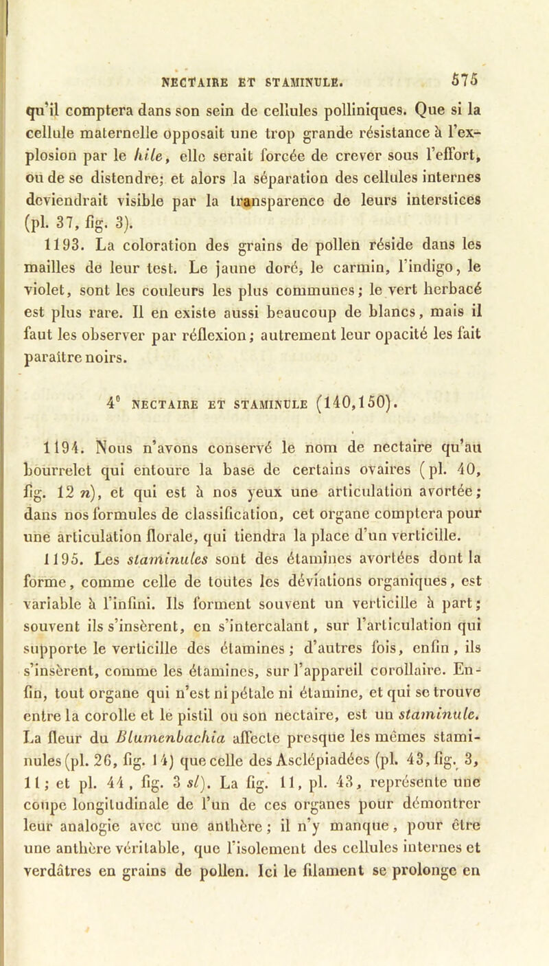 qu’il comptera dans son sein de cellules polliniques. Que si la cellule maternelle opposait une trop grande résistance à l’ex- plosion par le hile, elle serait forcée de crever sous l’efTort, ou de se distendre; et alors la séparation des cellules internes deviendrait visible par la transparence de leurs interstices (pl. 37, %. 3). 1193. La coloration des grains de pollen réside dans les mailles de leur test. Le jaune doré, le carmin, l’indigo, le violet, sont les couleurs les plus communes; le vert herbacé est plus rare. Il en existe aussi beaucoup de blancs, mais il faut les observer par réflexion; autrement leur opacité les fait paraître noirs. i I 4“ NECTAIRE ET STAMINÜLE (140,150). 1194. Nous n’avons conservé le nom de nectaire qu’au bourrelet qui entoure la base de certains ovaires (pl. 40, flg. 12 n), et qui est à nos yeux une articulation avortée; dans nos formules de classification, cet organe comptera pour une articulation florale, qui tiendra la place d’un verticille. 1195. Les staminules sont des étamines avortées dont la forme, comme celle de toutes les déviations organiques, est variable à l’infini. Ils forment souvent un verticille à part ; souvent ils s’insèrent, en s’intercalant, sur l’articulation qui . supporte le verticille des étamines; d’autres fois, enfin, ils s’insèrent, comme les étamines, sur l’appareil corollaire. En- fin, tout organe qui n’est ni pétale ni étamine, et qui se trouve entre la corolle et le pistil ou son nectaire, est un staminule, La fleur du BLumenbachia affecte presque les mêmes stami- j nules(pl. 2G, fig. 14) que celle des Asclépiadées (pl. 43,fig. 3, 11; et pl. 44 , fig. 3 si). La fig. 11, pl. 43, représente une coupe longitudinale de l’un de ces organes pour démontrer leur analogie avec une anthère; il n’y manque, pour être une anthère véritable, que l’isolement des cellules internes et verdâtres en grains de pollen. Ici le filament se prolonge en