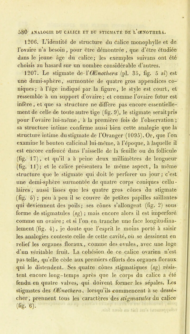 120G. L’identité de structure du Calice monophylle et de l’ovaire n’a besoin, pour être démontrée, que d’être étudiée dans le jeune âge du calice; les exemples suivans ont été choisis au hasard sur un nombre considérable d’autres. 1207. Le stigmate àc-ïOEnotkera (pl. 35, lîg. 5 si) est une demi-sphère, surmontée de quati’e gros appendices co- niques; h l’âge indiqué par la figure, le style est court, et ressemble à un support d’ovaire ; et comme l’ovaire futur est infère, et que sa structure ne diffère pas encore essentielle- ment de celle de toute autre tige (fig. 9), le stigmate serait pris pour l’ovaire lui-même, à la première fois de l’observation ; sa structure intime confirme aussi bien cette analogie que la structure intime du stigmate de l’Oranger (1095). Or, que l’on examine le bouton calicinal lui-même, à l’époque, à laquelle il est encore enfoncé dans faisselle de la feuille ou du foUicule (fig. 17), et qu’il a à peine deux millimètres de longueur (fig. 11); et le calice présentera le même aspect, la même structure que le stigmate qui doit le perforer un jour ; c’est une demi-sphère surmontée de quatre corps coniques cellu- laires , aussi lisses que les quatre gros cônes du stigmate (fig. 5) ; peu à peu il se couvre de petites papilles saillantesr qui deviennent des poils; ses cônes s’aDongent (fig. 2) sous forme de stigmatules {sg) ; mais encore alors il est imperforé comme un ovaire ; et si l’on en tranche une face longitudina- lement (fig. 4) , je doute que l’esprit le moins porté à saisir les analogies conteste celle de cette cavité, où se dessinent eu relief les organes floraux, comme des ovules, avec une loge d’un véritable fruit. La cohésion de ce calice ovarien n’est pas telle, qu’elle cède aux premiers efforts des organes floraux qui le distendent. Ses quatre cônes stigmatiques («g) résis- tent encore long-temps après que le corps du calice a été fendu en quatre valves, qui doivent former les sépales. Les stigmates des OEnotliera, lorsqu’ils commencent h se dessé- cher, prennent tous les caractères des stigmatules da calice (fig. 6).