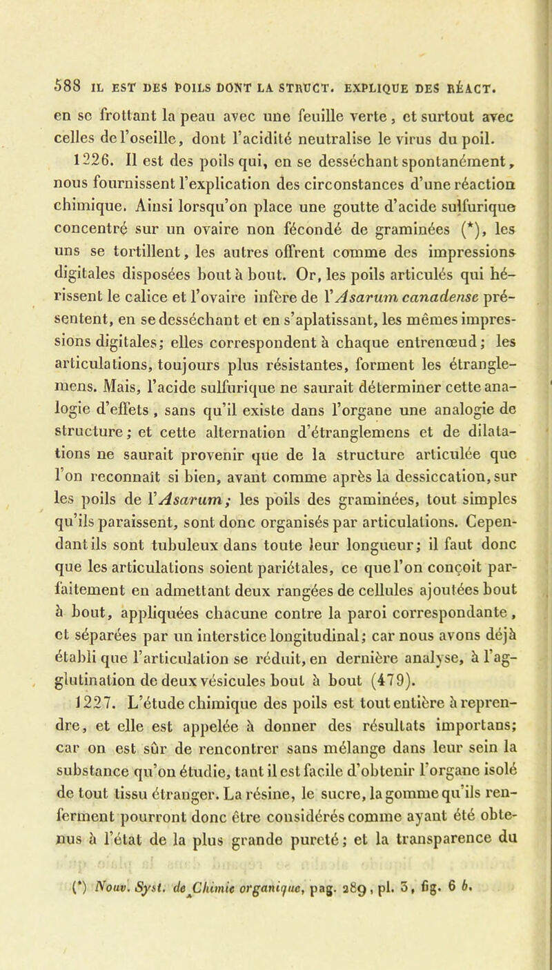 en se frottant la peau avec une feuille verte, et surtout avec celles de l’oseille, dont l’acidité neutralise le virus du poil. 1226. 11 est des poils qui, en se desséchant spontanément, nous fournissent l’explication des circonstances d’une réaction chimique. Ainsi lorsqu’on place une goutte d’acide sulfurique concentré sur un ovaire non fécondé de graminées (*), les uns se tortillent, les autres offrent comme des impressions digitales disposées bout h bout. Or, les poils articulés qui hé- rissent le calice et l’ovaire infère de V Asarum canadense pré- sentent, en se desséchant et en s’aplatissant, les mêmes impres- sions digitales ; elles correspondent à chaque entrenœud ; les articulations, toujours plus résistantes, forment les étrangle- mens. Mais, l’acide sulfurique ne saurait déterminer cette ana- logie d’effets , sans qu’il existe dans l’organe une analogie de structure ; et cette alternation d’étranglemens et de dilata- tions ne saurait provenir que de la structure articulée que l’on reconnaît si bien, avant comme après la dessiccation, sur les poils de VAsarum; les poils des graminées, tout simples qu’ils paraissent, sont donc organisés par articulations. Cepen- dant ils sont tubuleux dans toute leur longueur; il faut donc que les articulations soient pariétales, ce que l’on conçoit par- faitement en admettant deux rangées de cellules ajoutées bout à bout, appliquées chacune contre la paroi correspondante, et séparées par un interstice longitudinal; car nous avons déjà établi que l’articulation se réduit, en dernière analyse, à l’ag- glutination de deux vésicules bout à bout (479). 1227. L’étude chimique des poils est tout entière h repren- dre, et elle est appelée à donner des résultats importans; car on est sûr de rencontrer sans mélange dans leur sein la substance qu’on étudie, tant il est facile d’obtenir l’organe isolé de tout tissu étranger. La résine, le sucre, la gomme qu’ils ren- ferment pourront donc être considérés comme ayant été obte- nus à l’état de la plus grande pureté ; et la transparence du (*) Nouv.Syit. dejCIùmie organi(jitc, pag. 289, pl. 5, fig. 6 6,