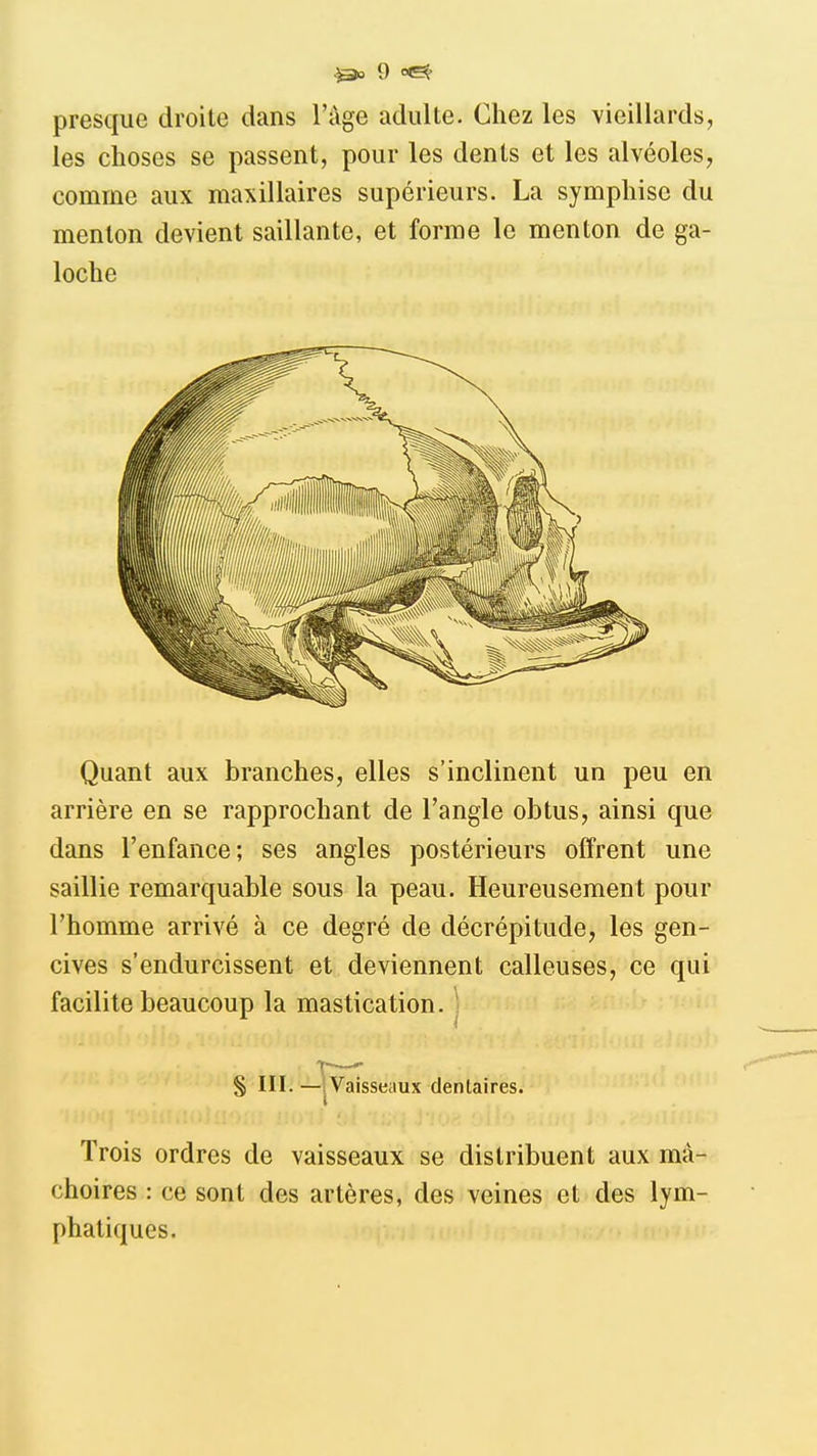 presque droite dans l'âge adulte. Chez les vieillards, les choses se passent, pour les dents et les alvéoles, comme aux maxillaires supérieurs. La sympliisc du menton devient saillante, et forme le menton de ga- loche Quant aux branches, elles s'inclinent un peu en arrière en se rapprochant de l'angle obtus, ainsi que dans l'enfance; ses angles postérieurs offrent une saillie remarquable sous la peau. Heureusement pour l'homme arrivé à ce degré de décrépitude, les gen- cives s'endurcissent et deviennent calleuses, ce qui facilite beaucoup la mastication. ' S III. —IVaisseaux dentaires. Trois ordres de vaisseaux se distribuent aux mâ- choires : ce sont des artères, des veines et des lym- phatiques.